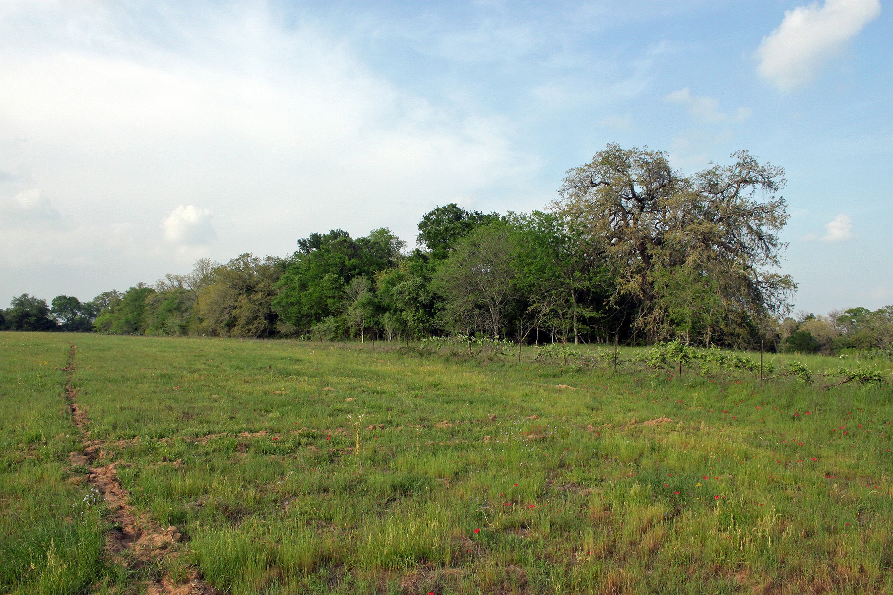 main property photo 7
