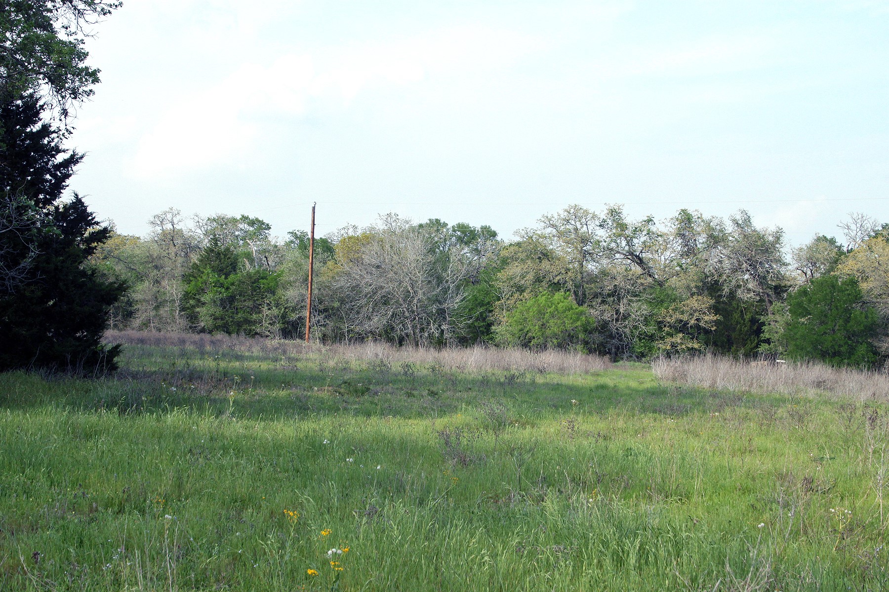 main property photo 9