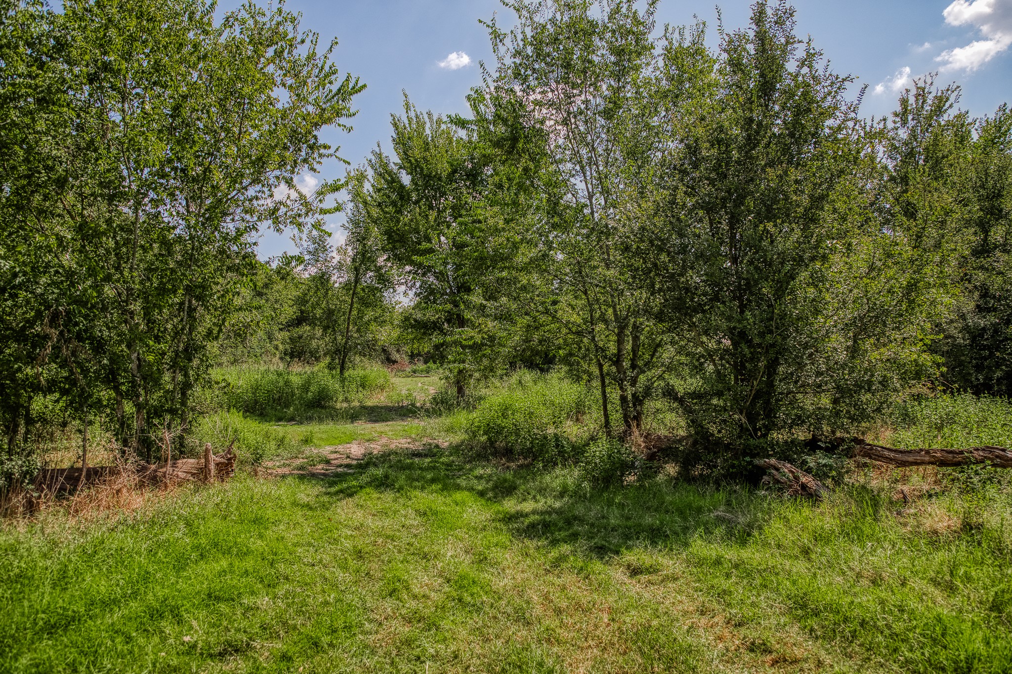 main property photo 17