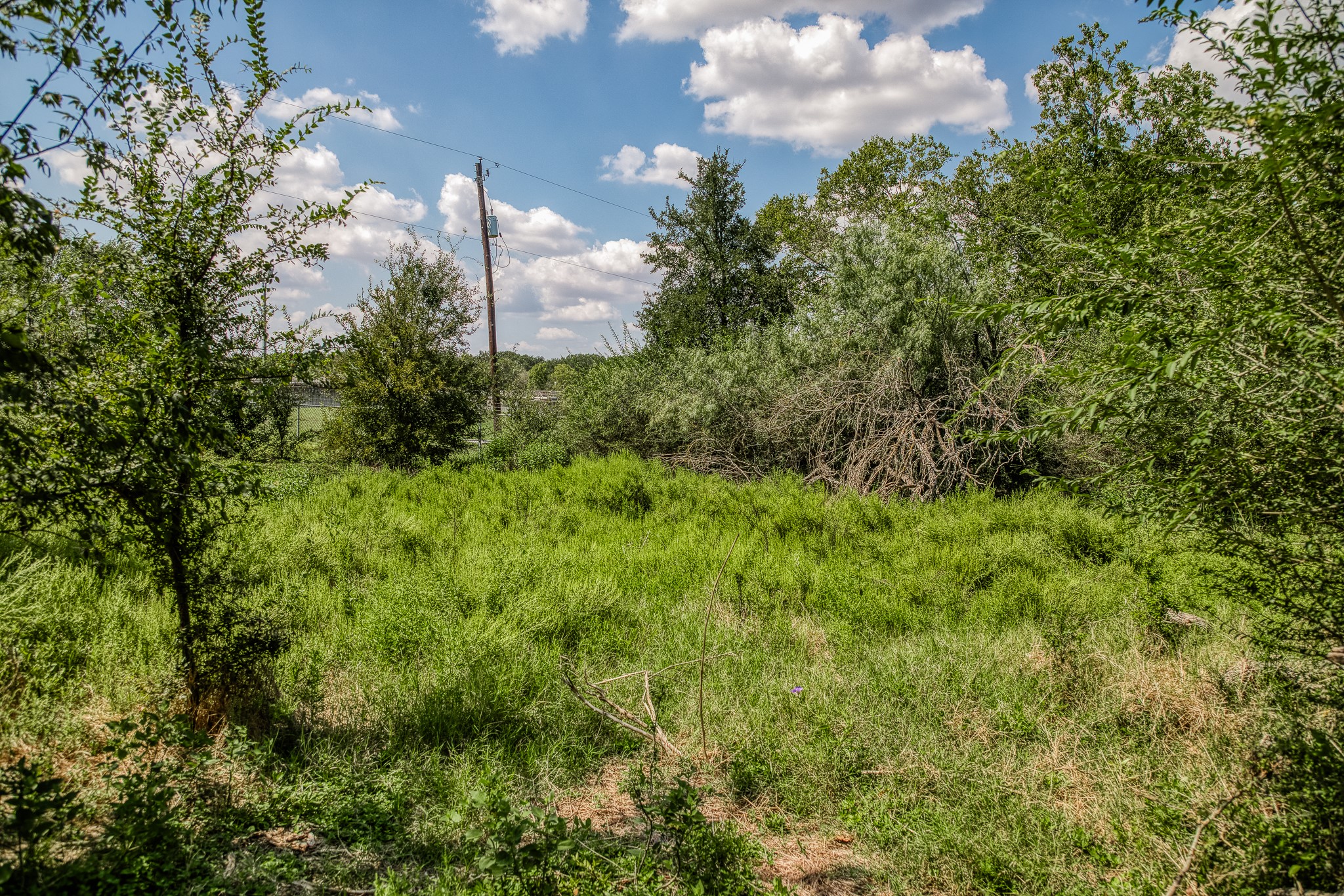 main property photo 18