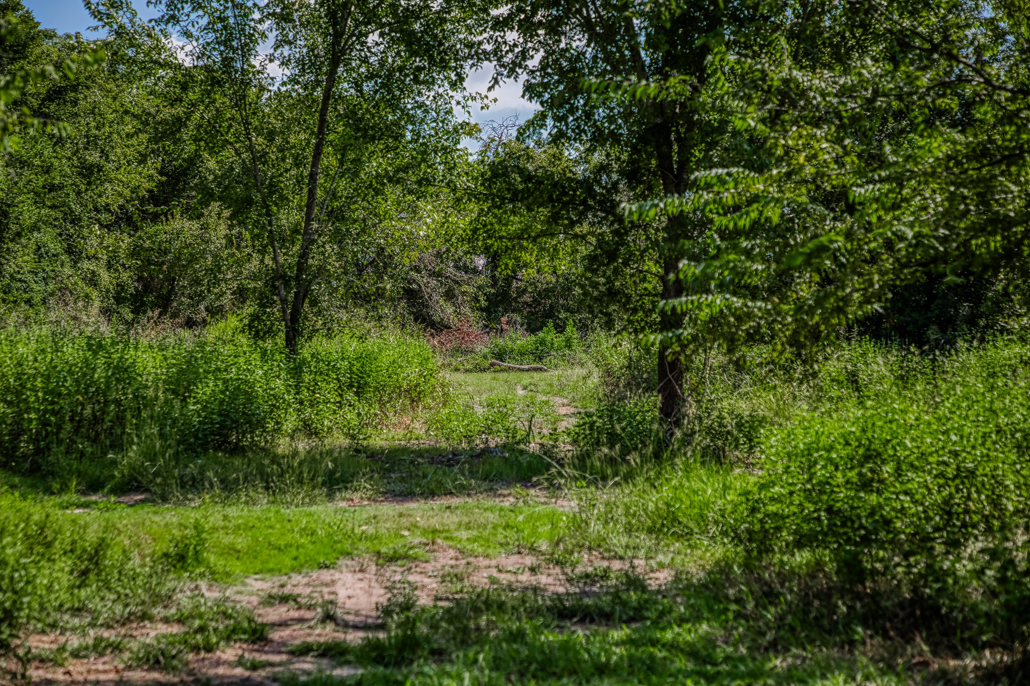 main property photo 19