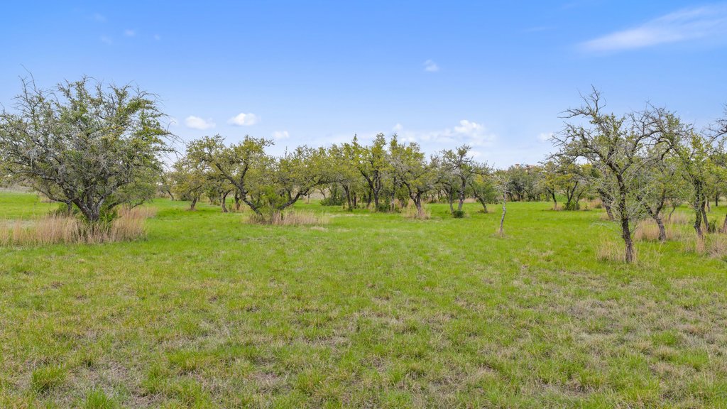 main property photo 7