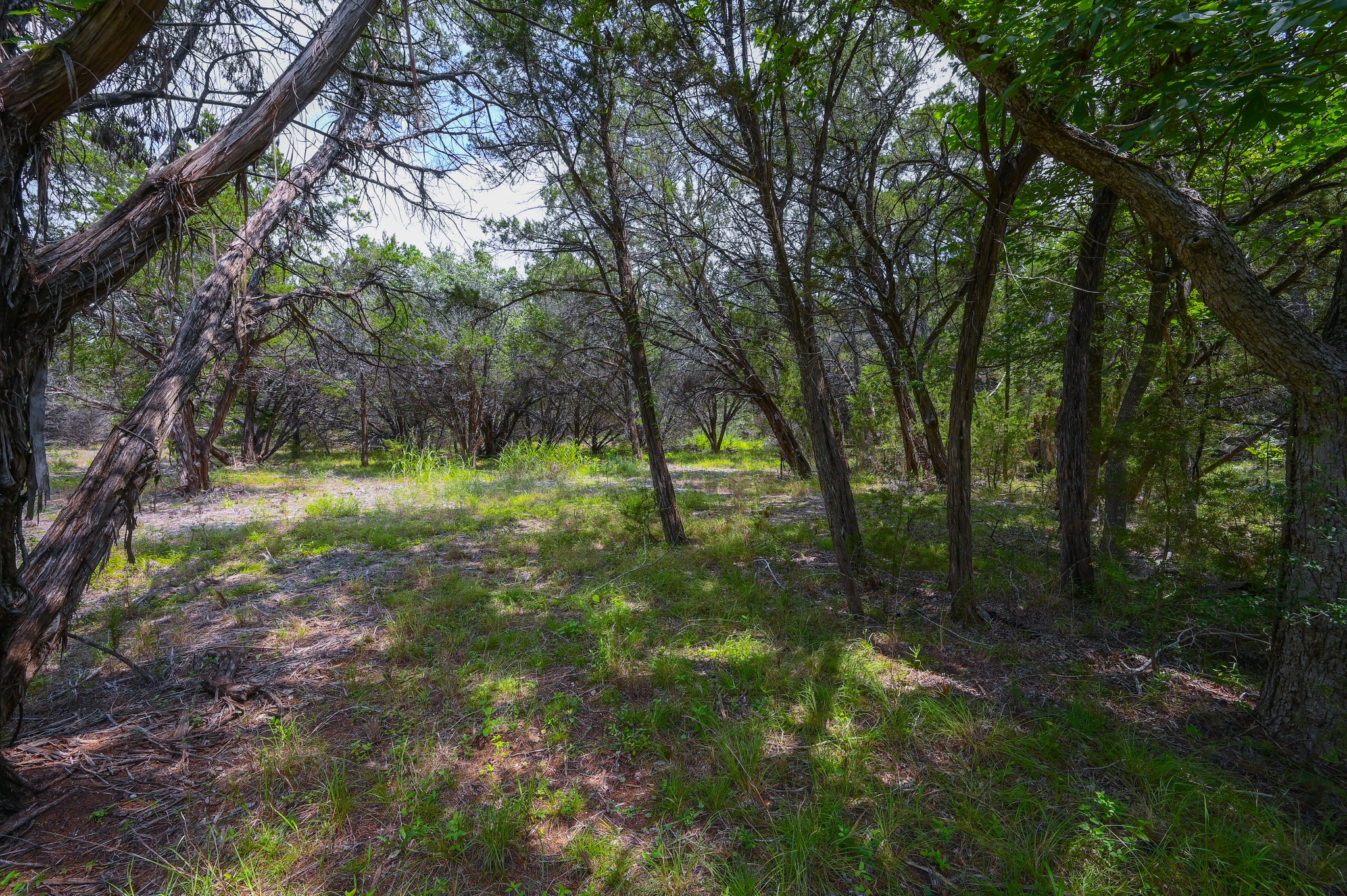 main property photo 15