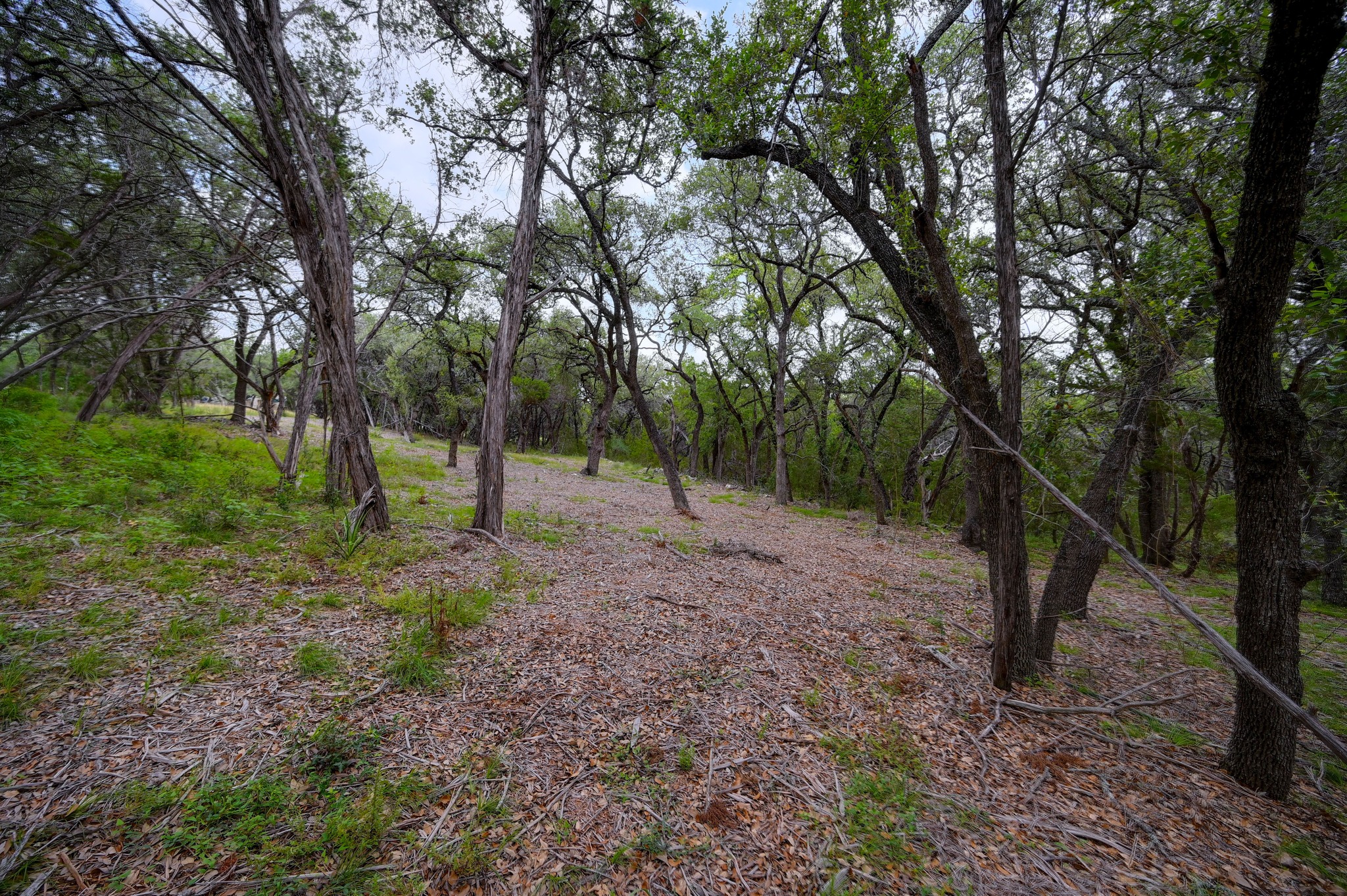 main property photo 25