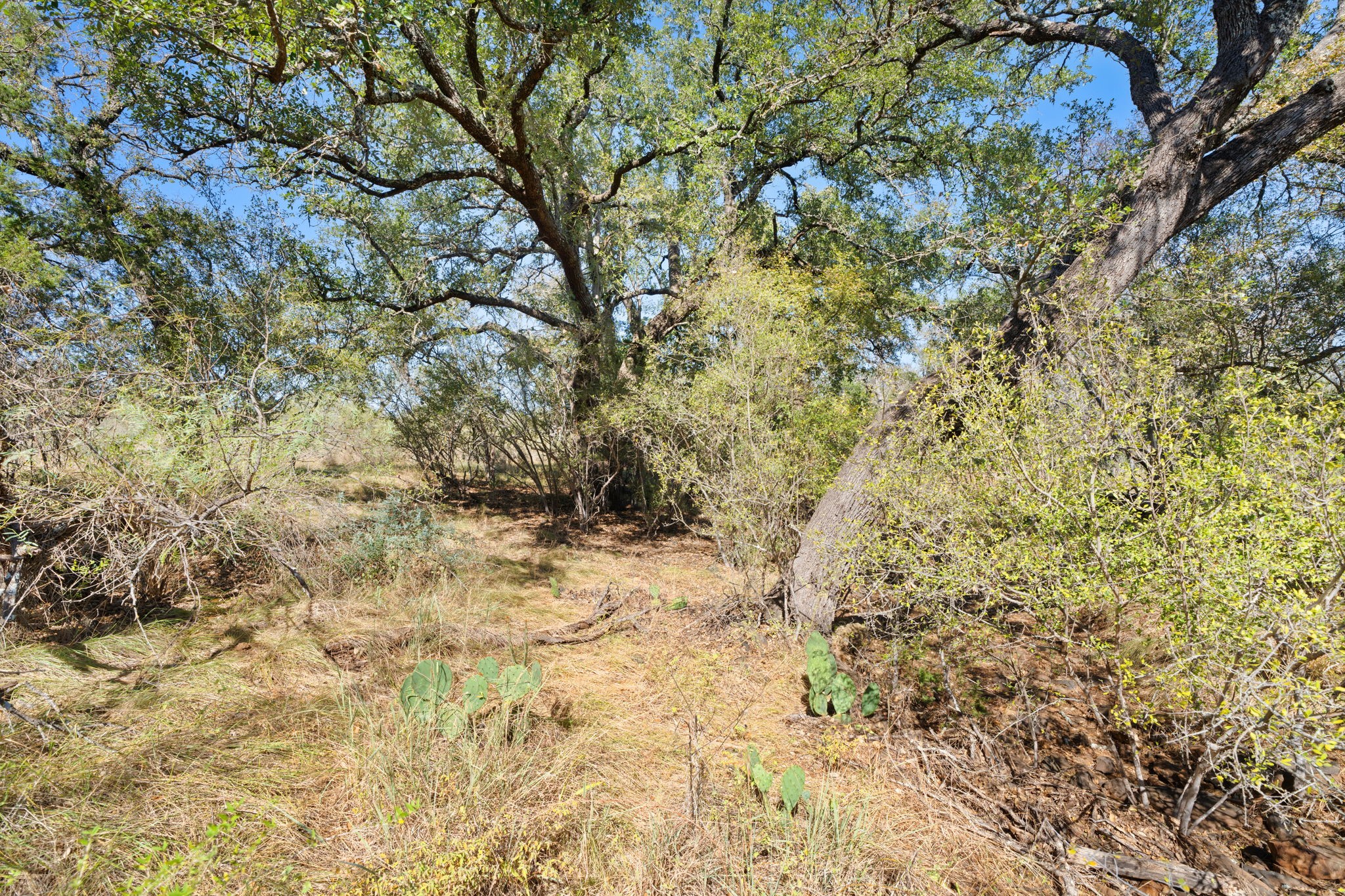 main property photo 27