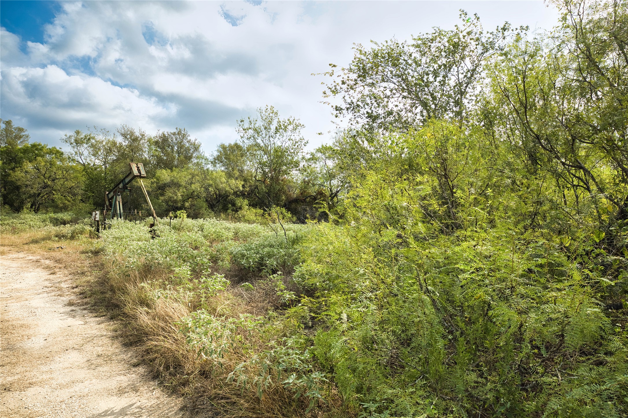 main property photo 6