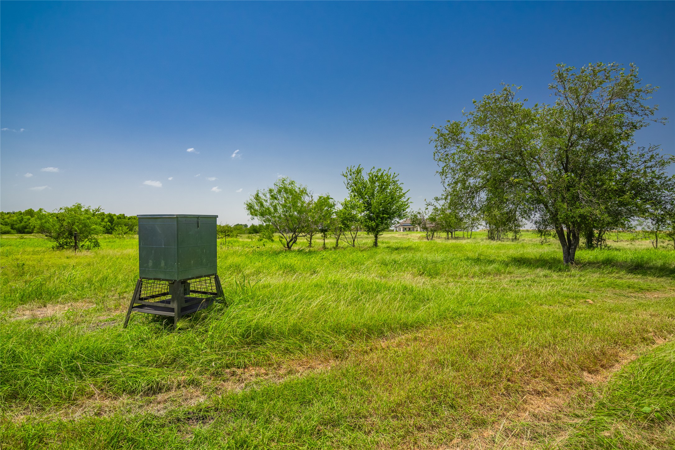 main property photo 11
