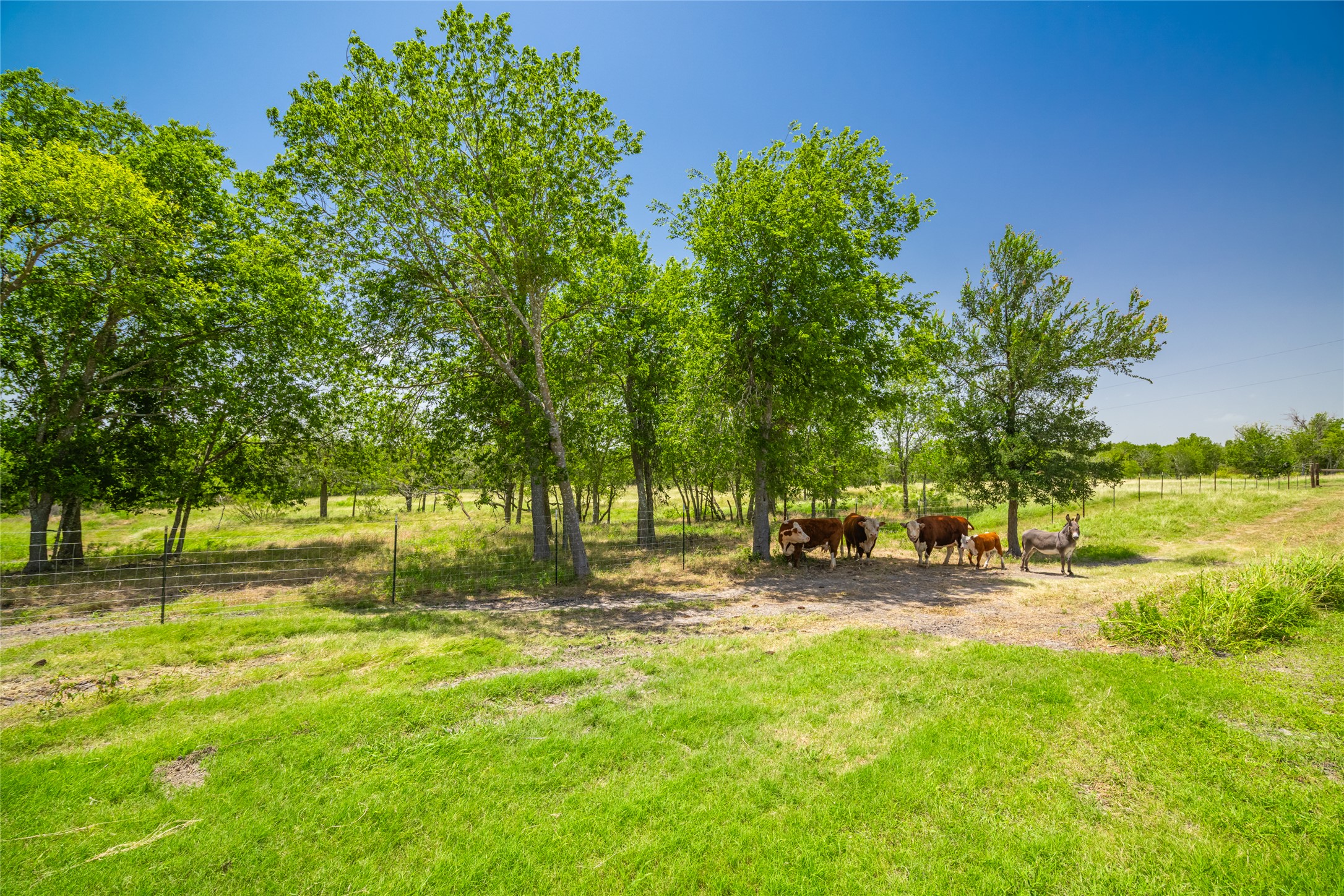 main property photo 7
