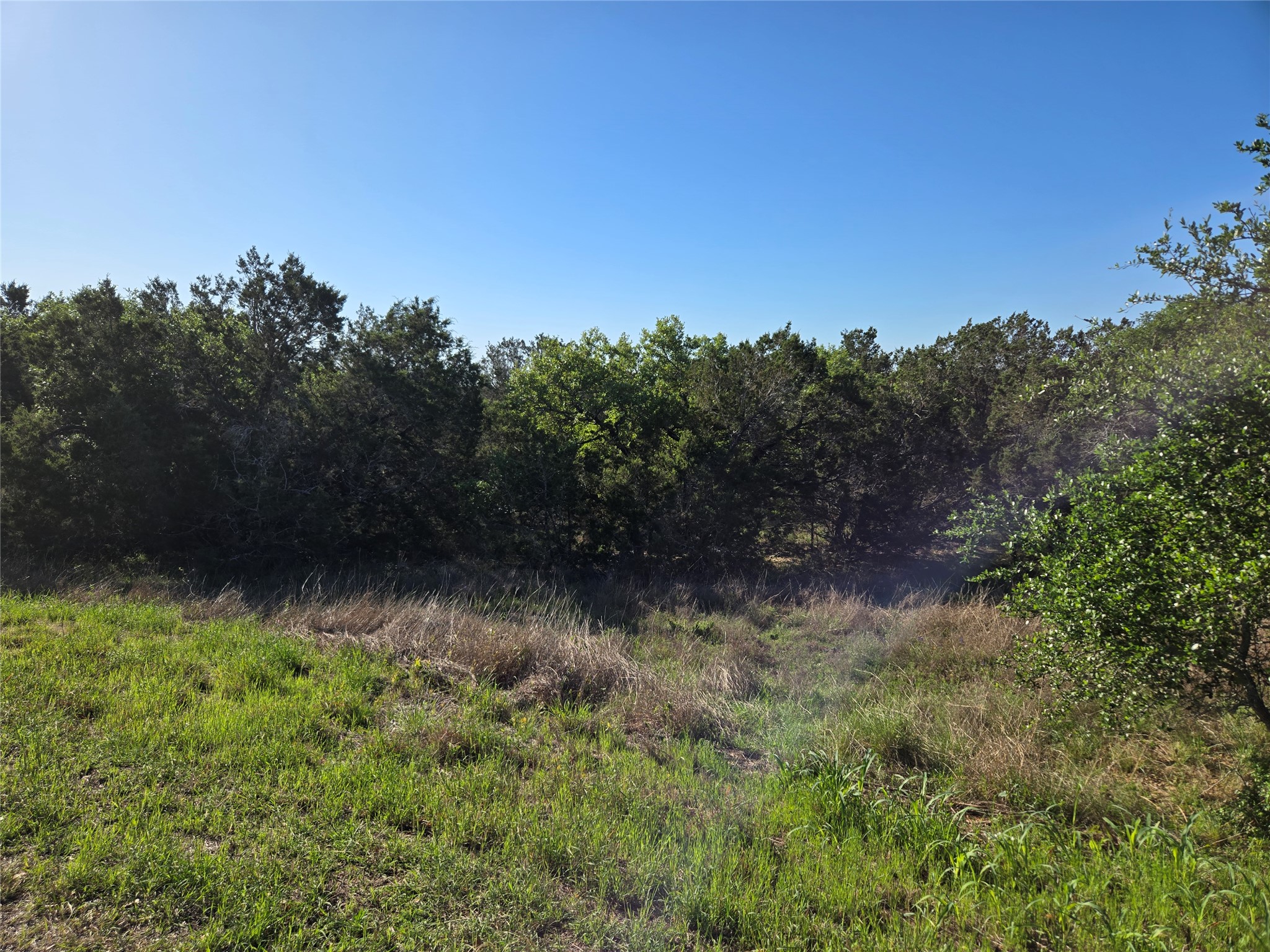 main property photo 13