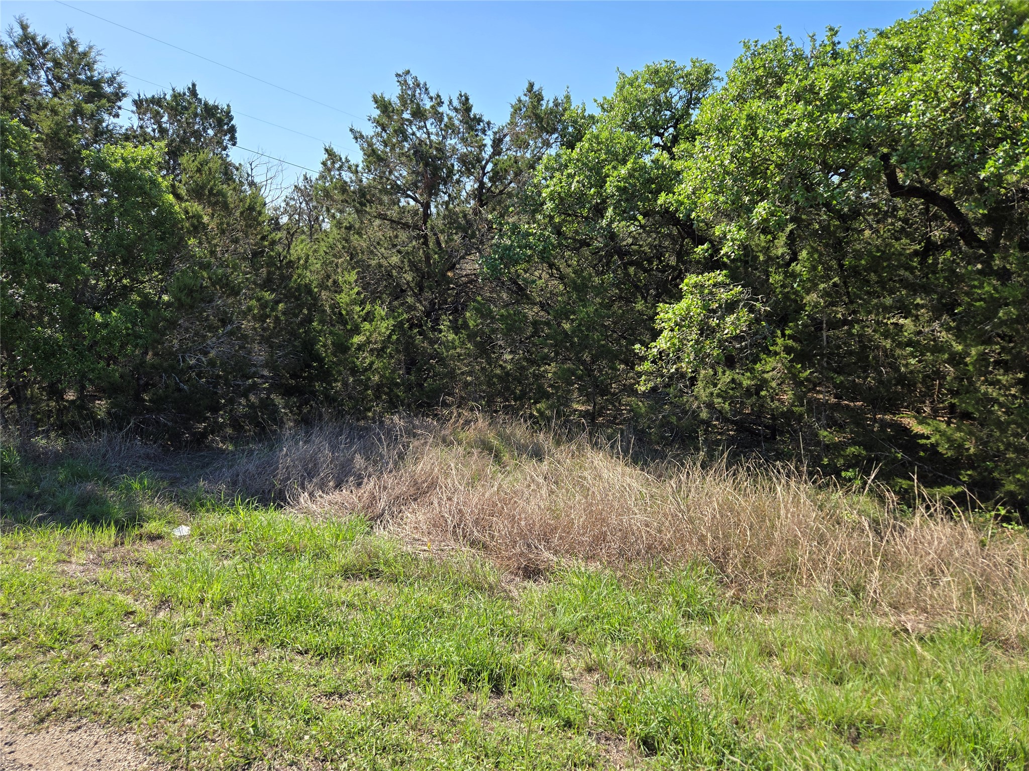 main property photo 9