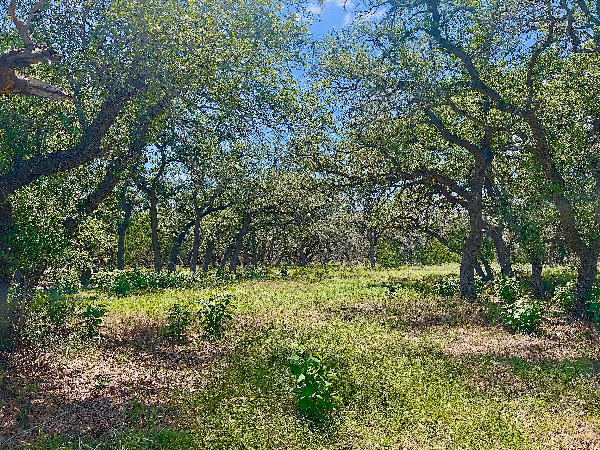 main property photo 8