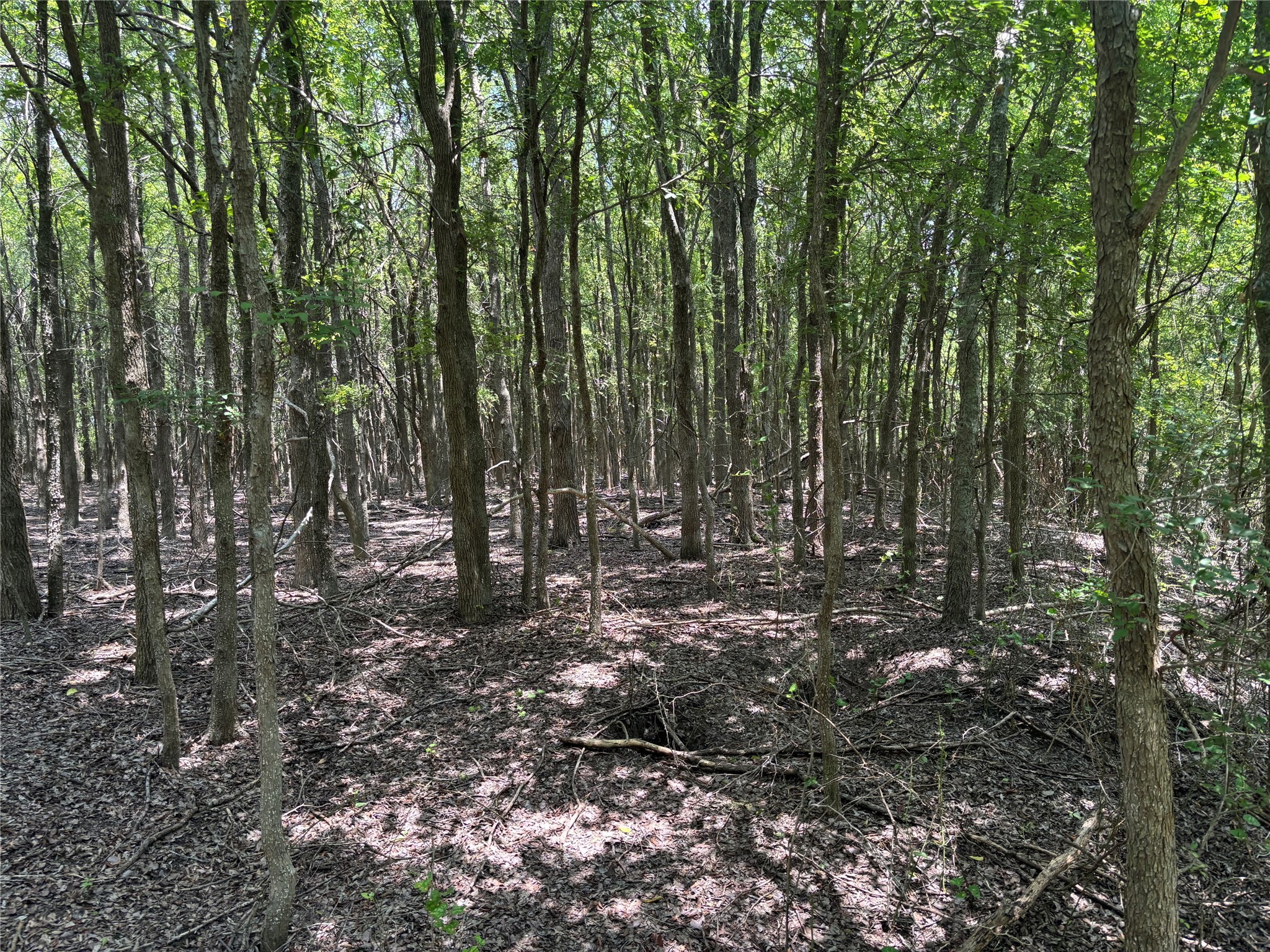 main property photo 7