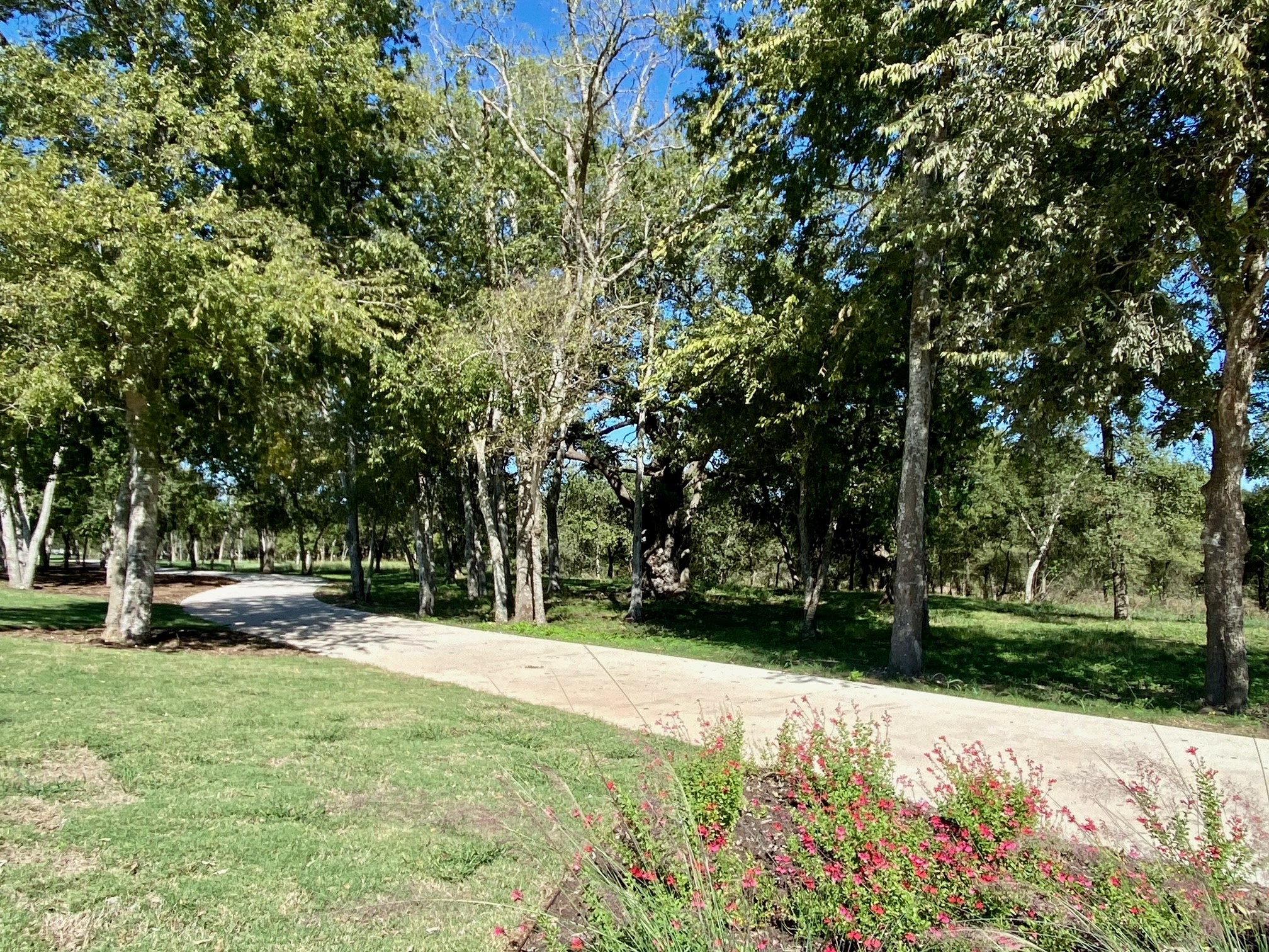 main property photo 29