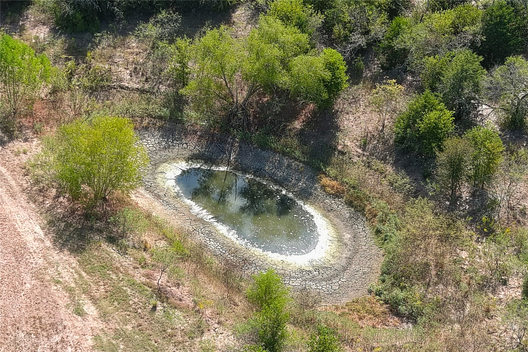 main property photo 36