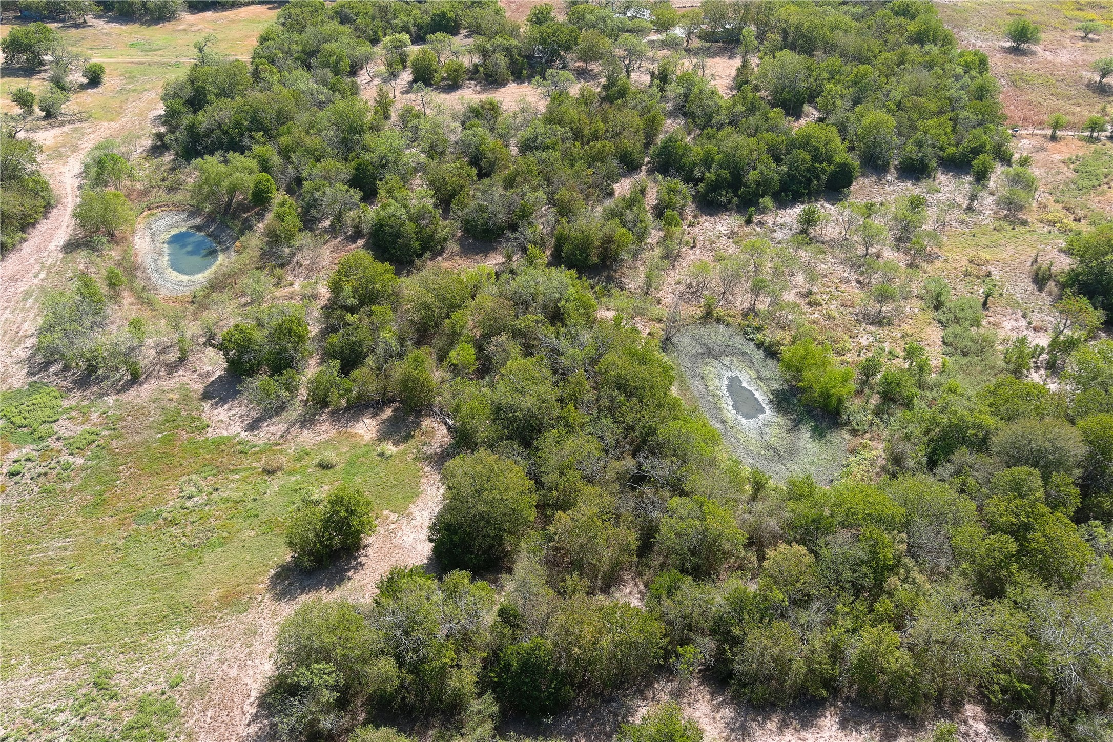 main property photo 38