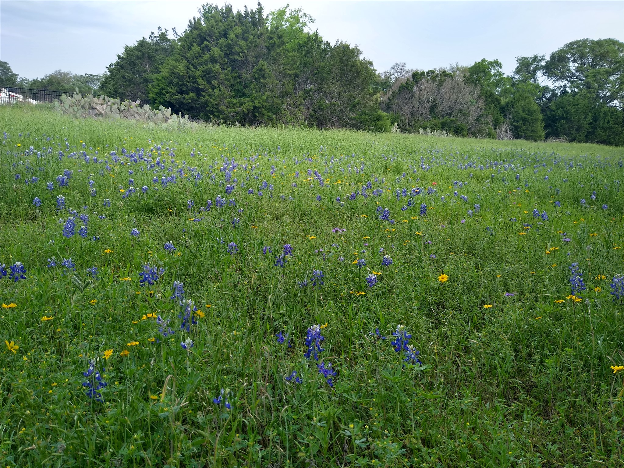 main property photo 28