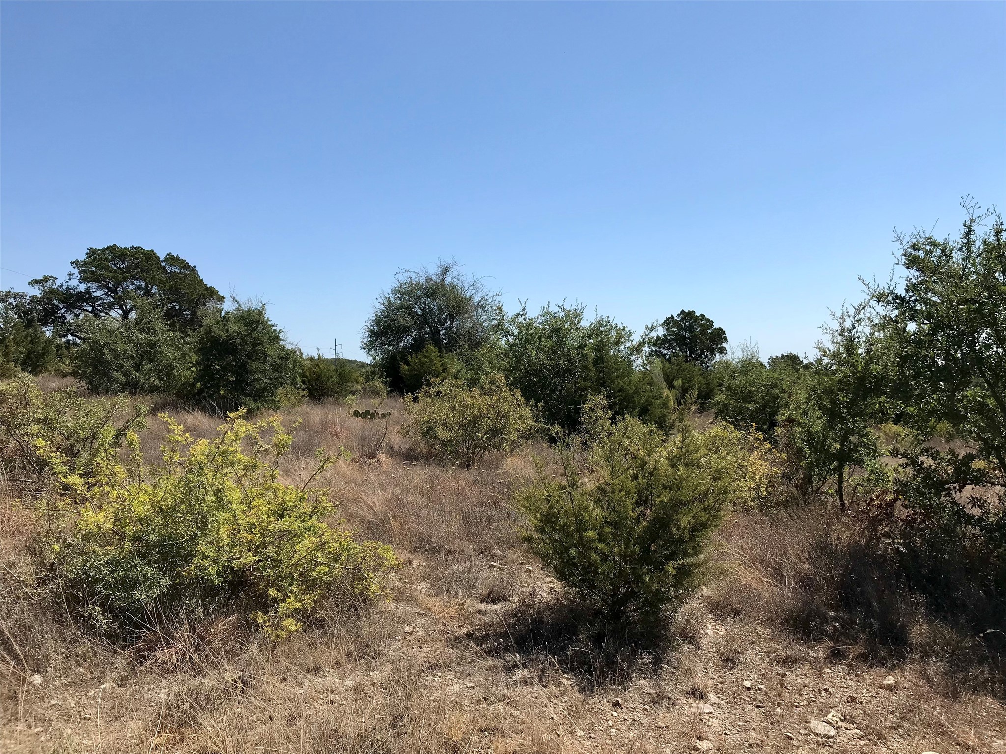 main property photo 25