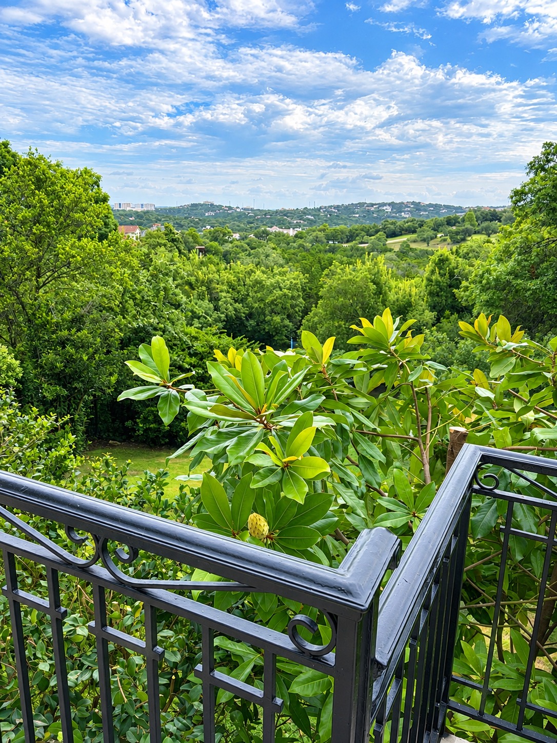 main property photo 35