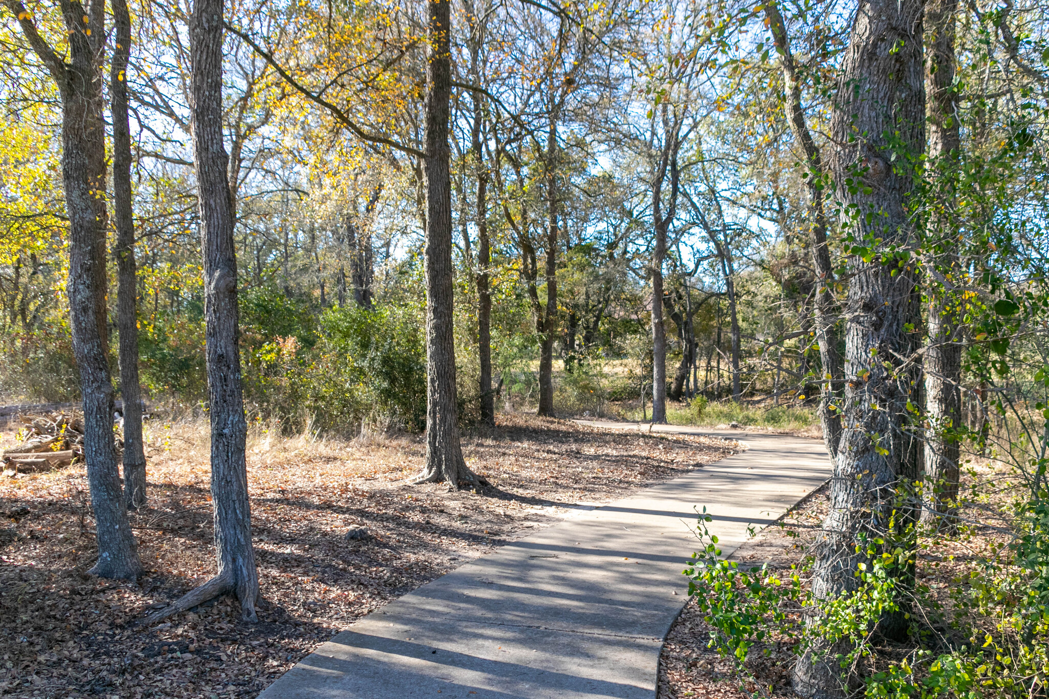 main property photo 13