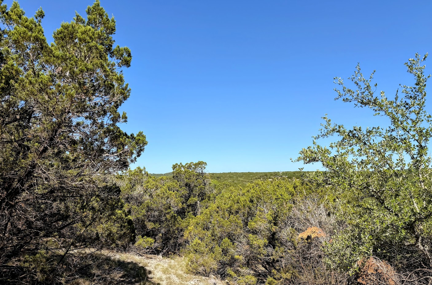 main property photo 10