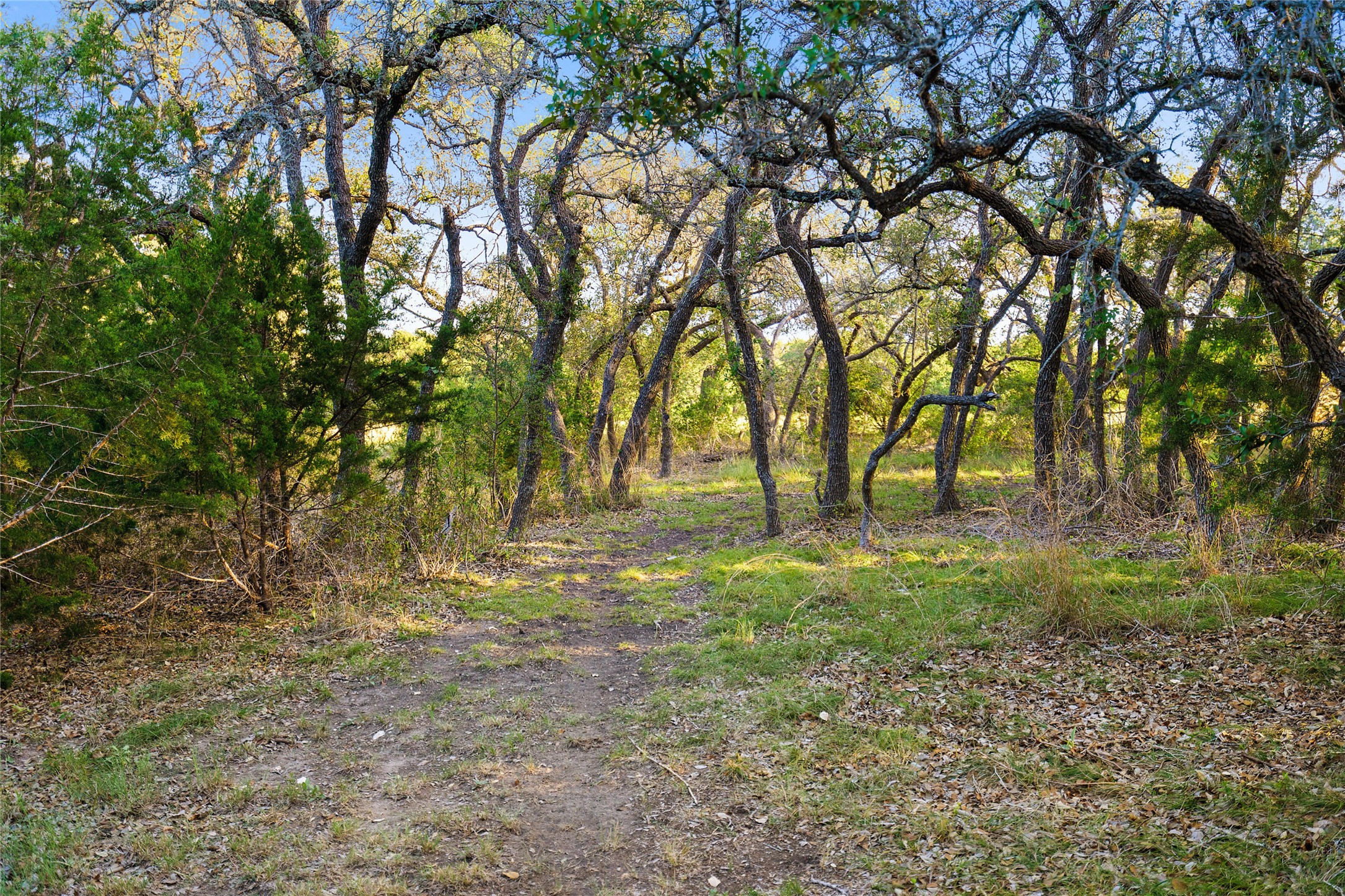 main property photo 36