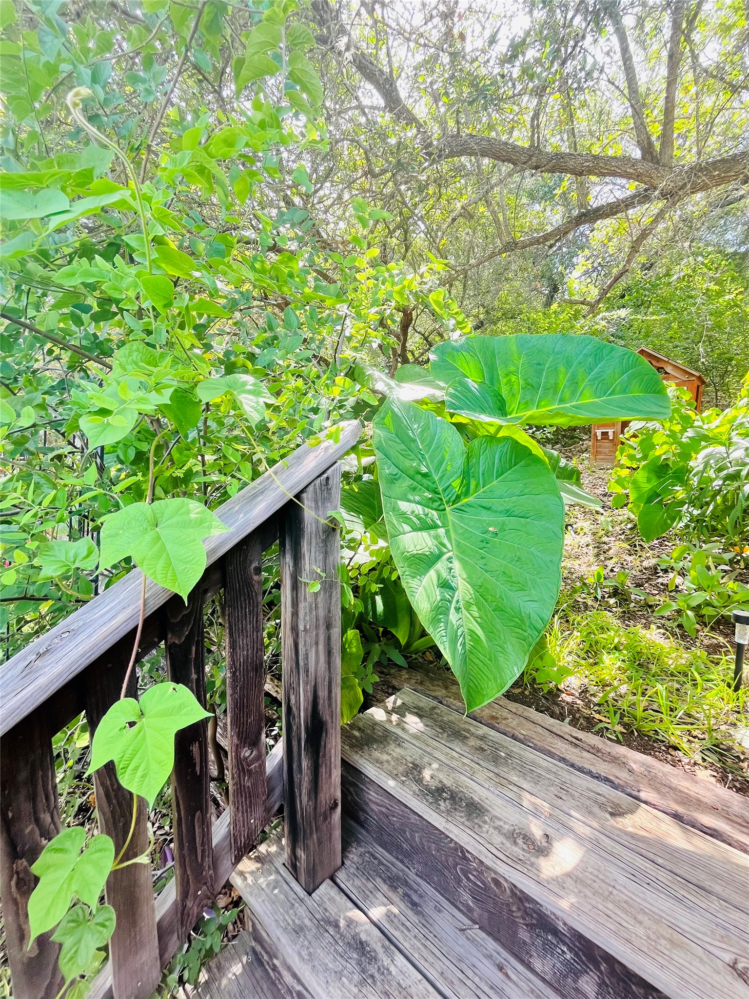 main property photo 29