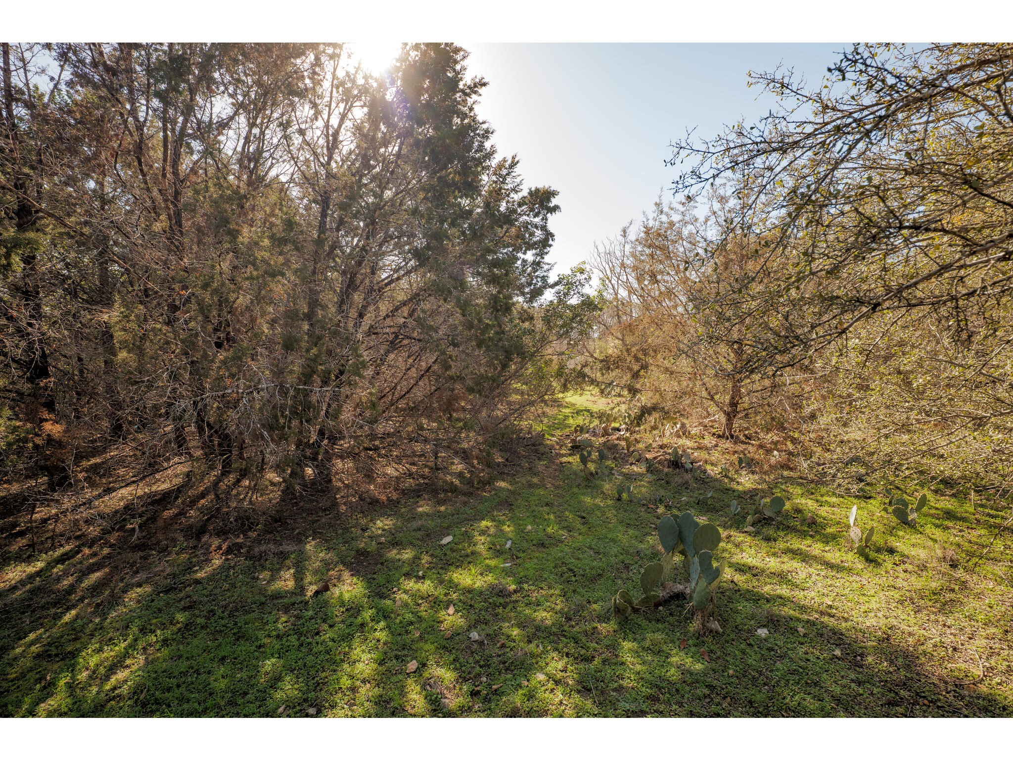 main property photo 11