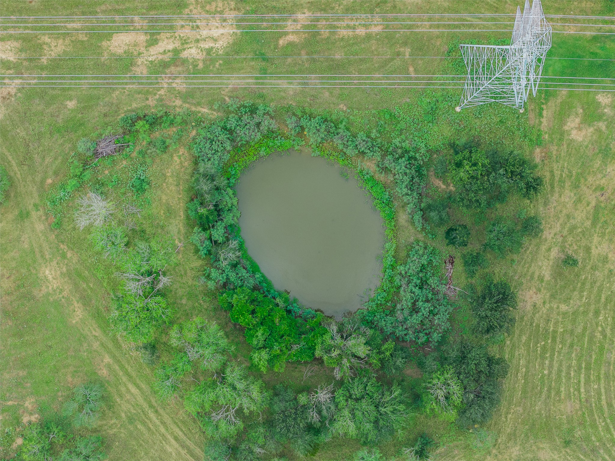 main property photo 13