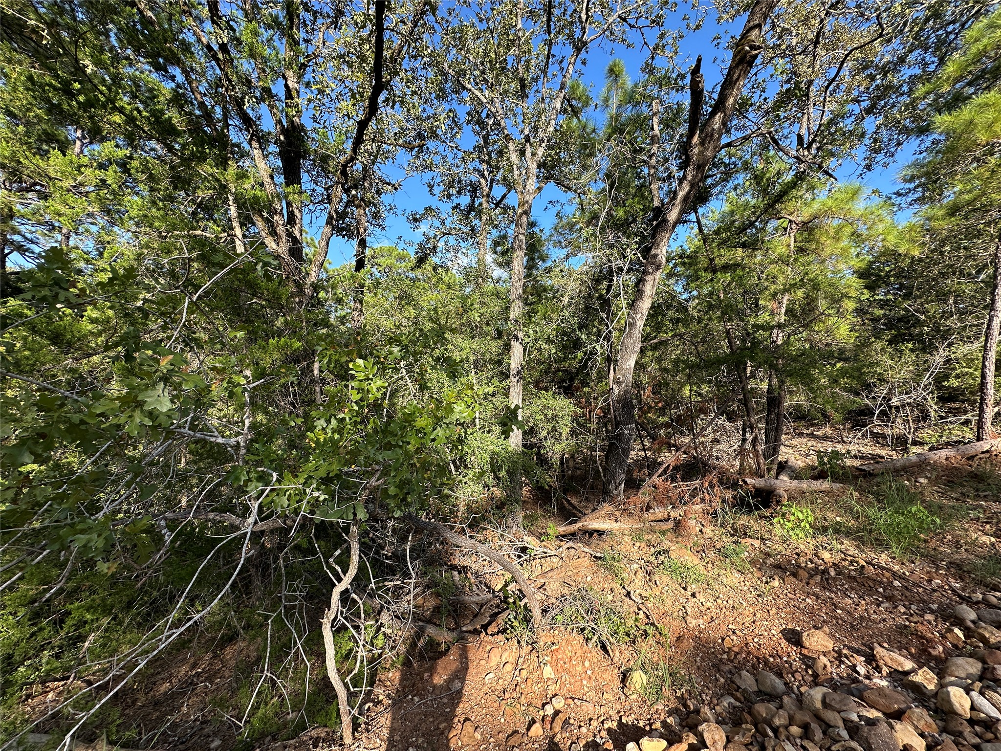 main property photo 6