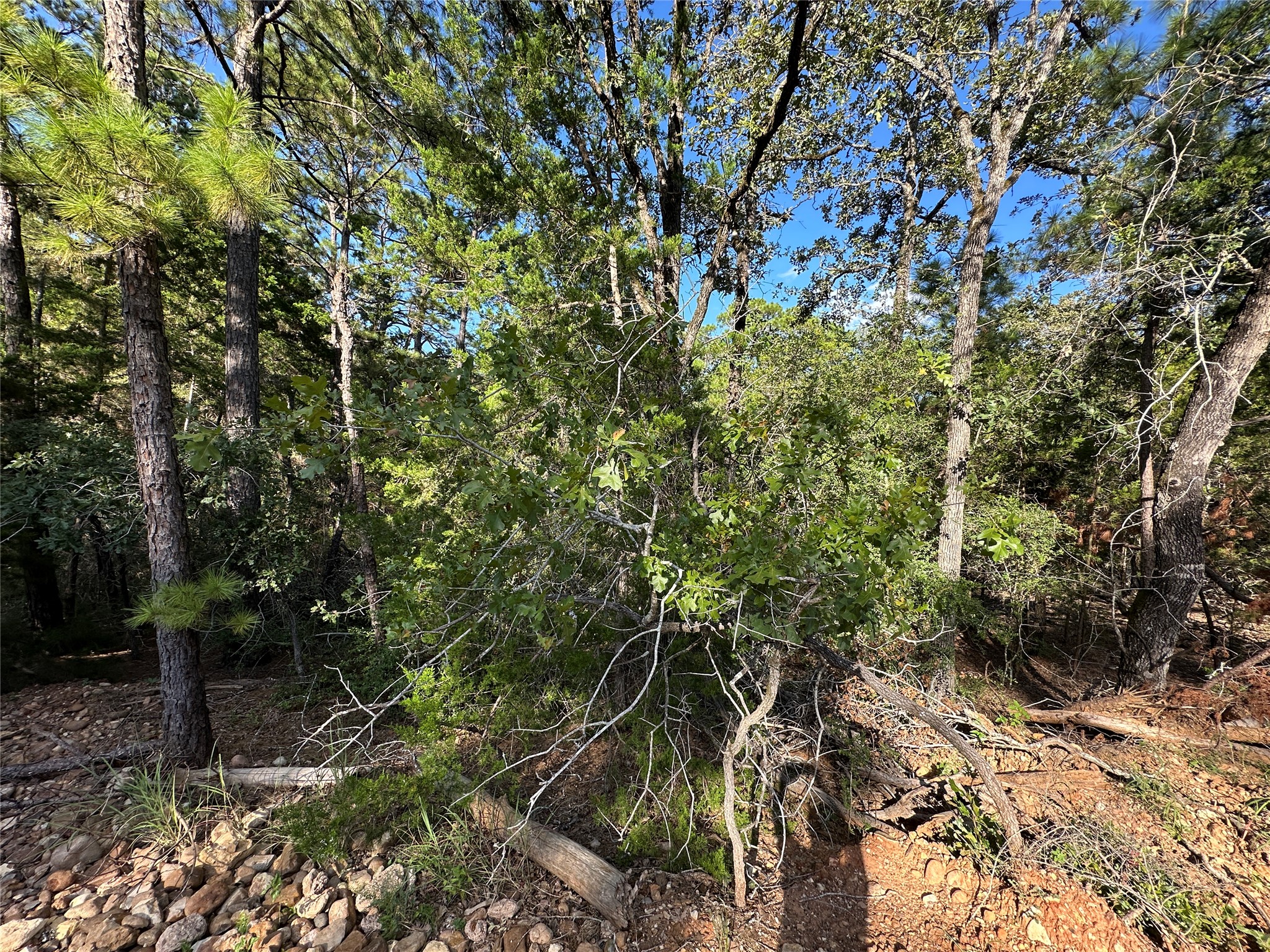 main property photo 8