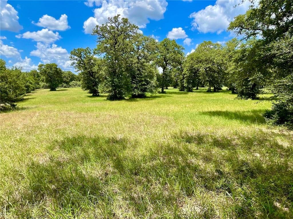 main property photo 10