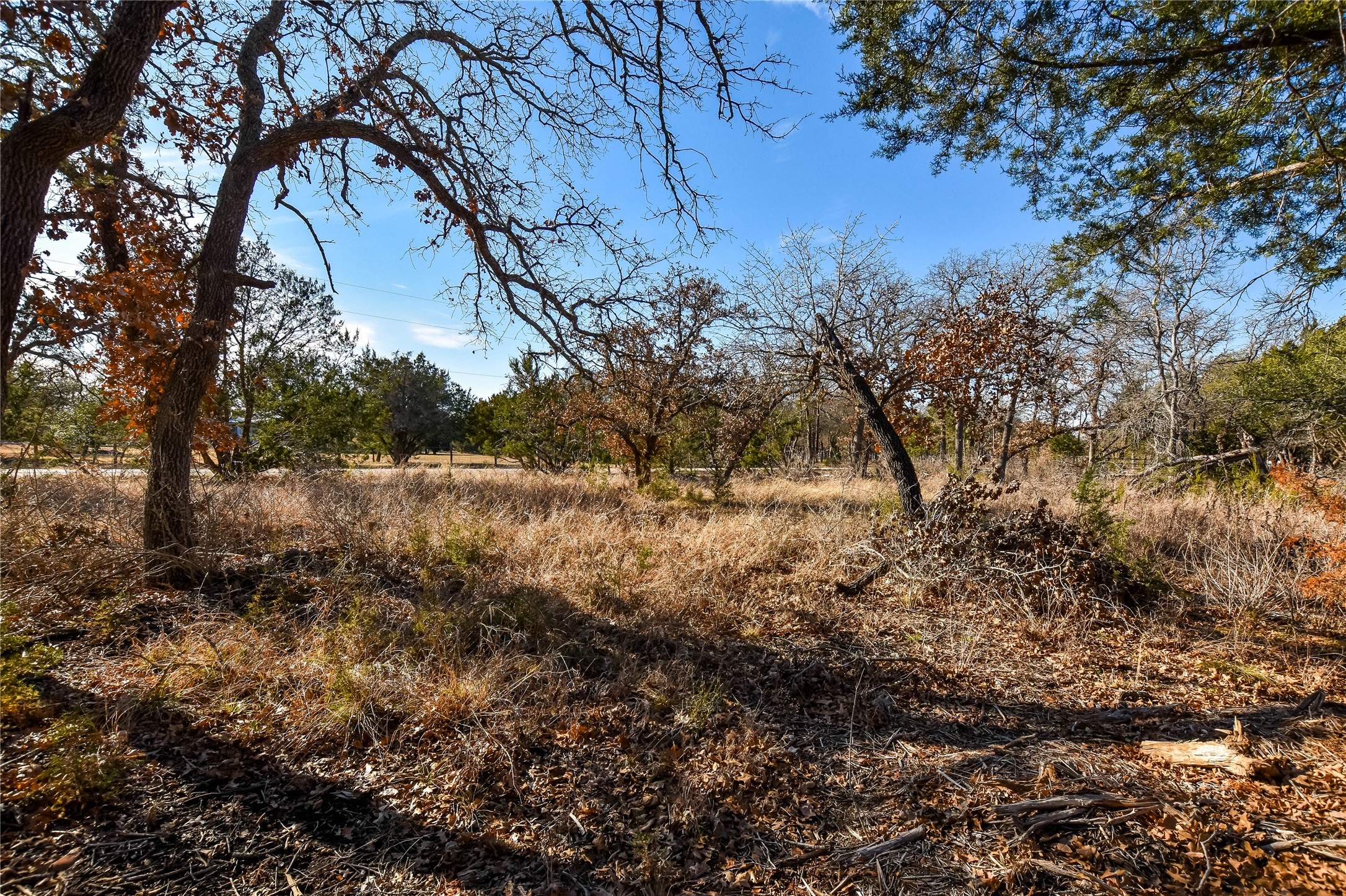 main property photo 6