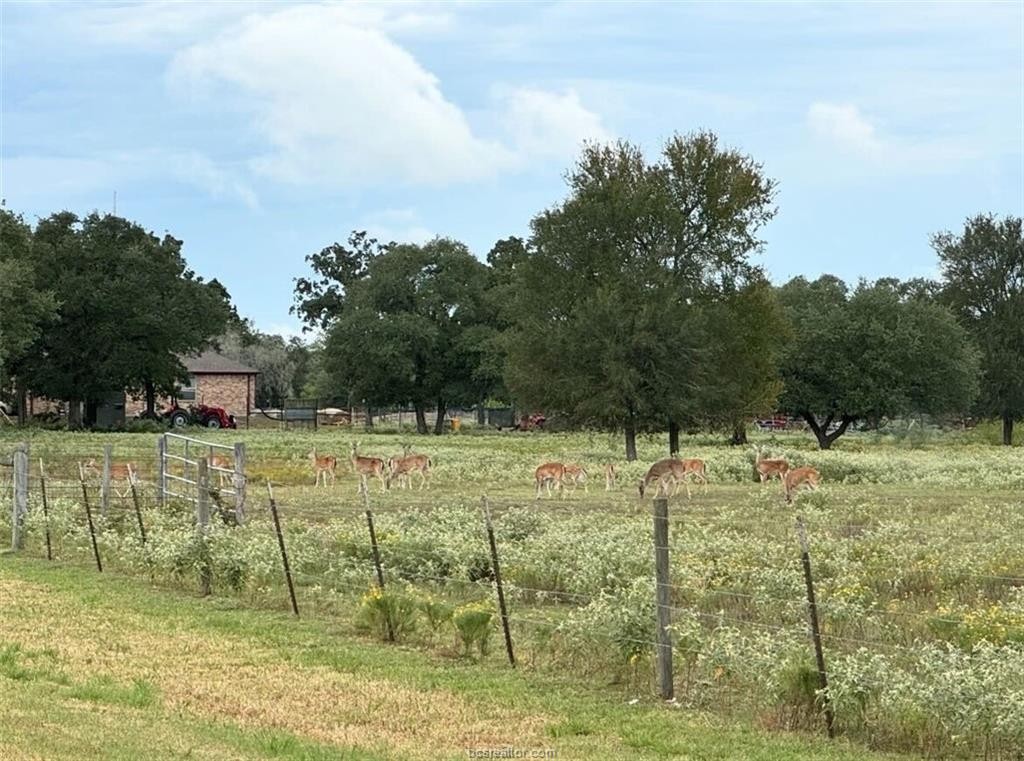main property photo 39