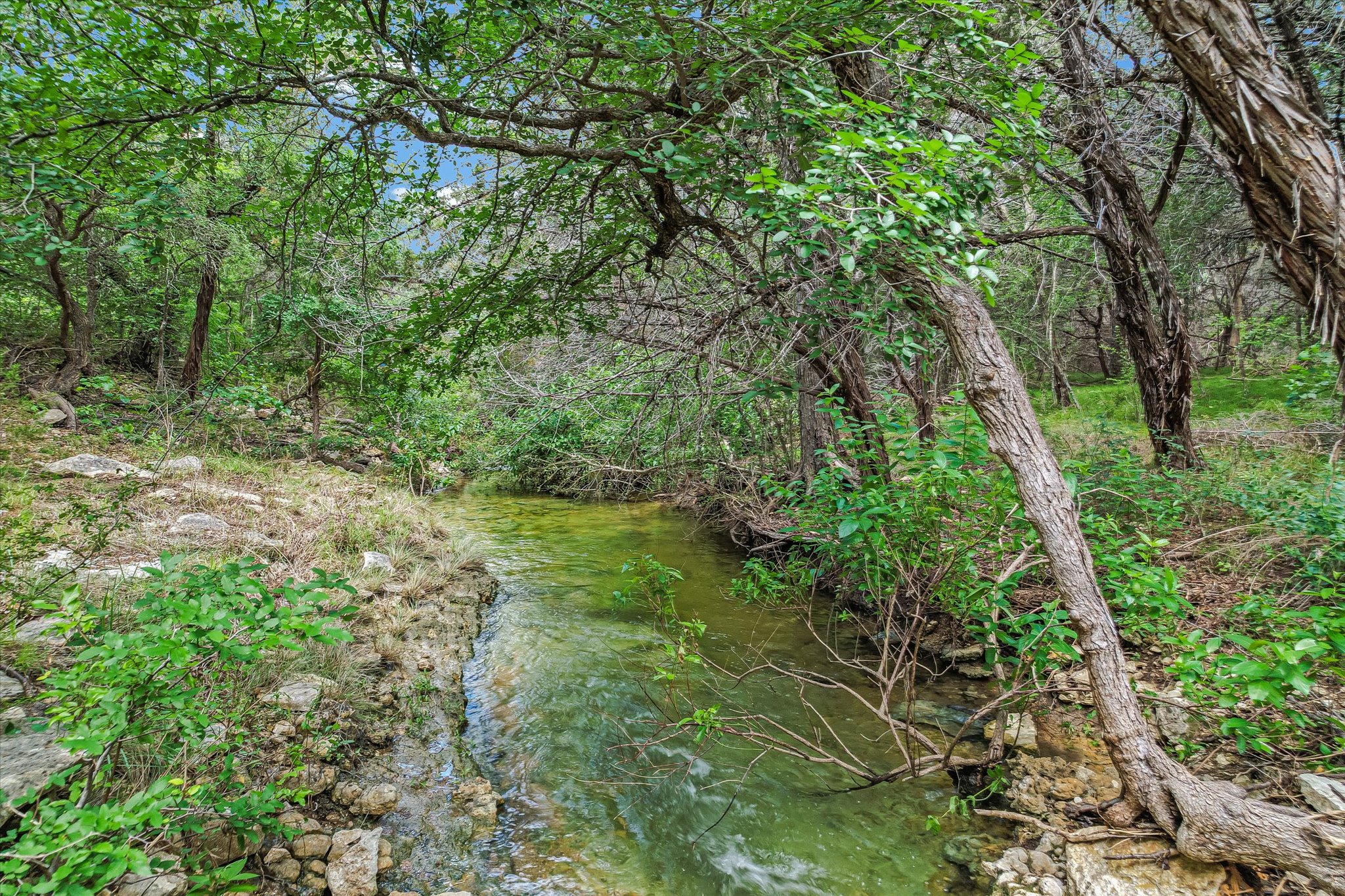 main property photo 35
