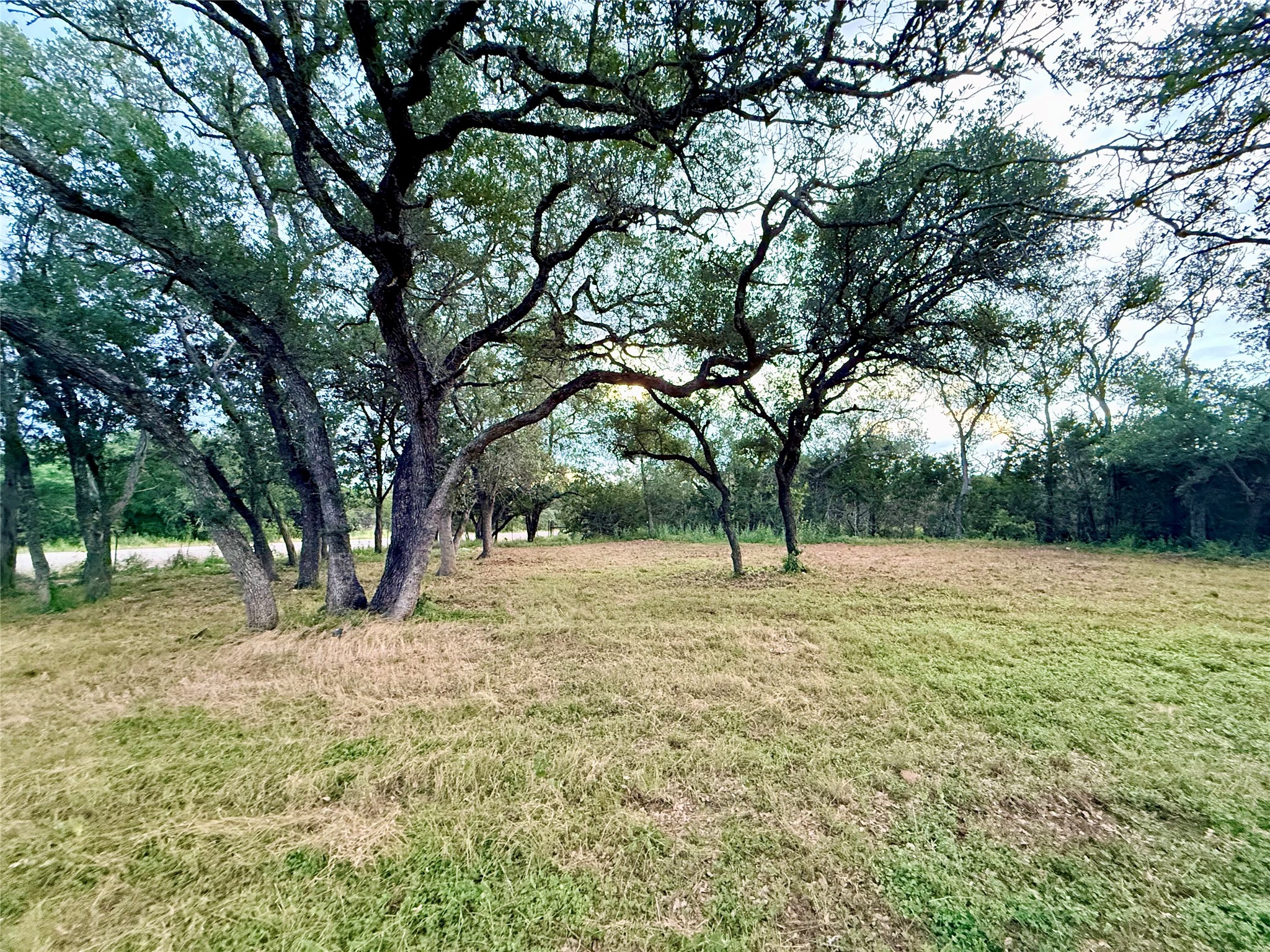 main property photo 22