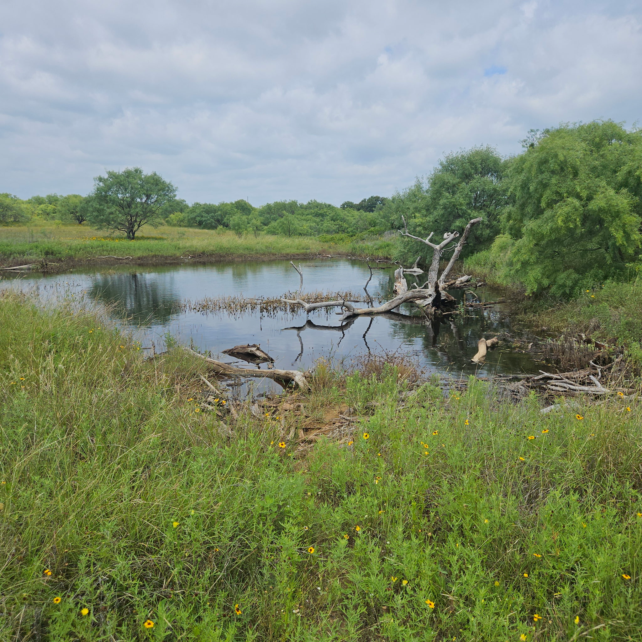 main property photo 9
