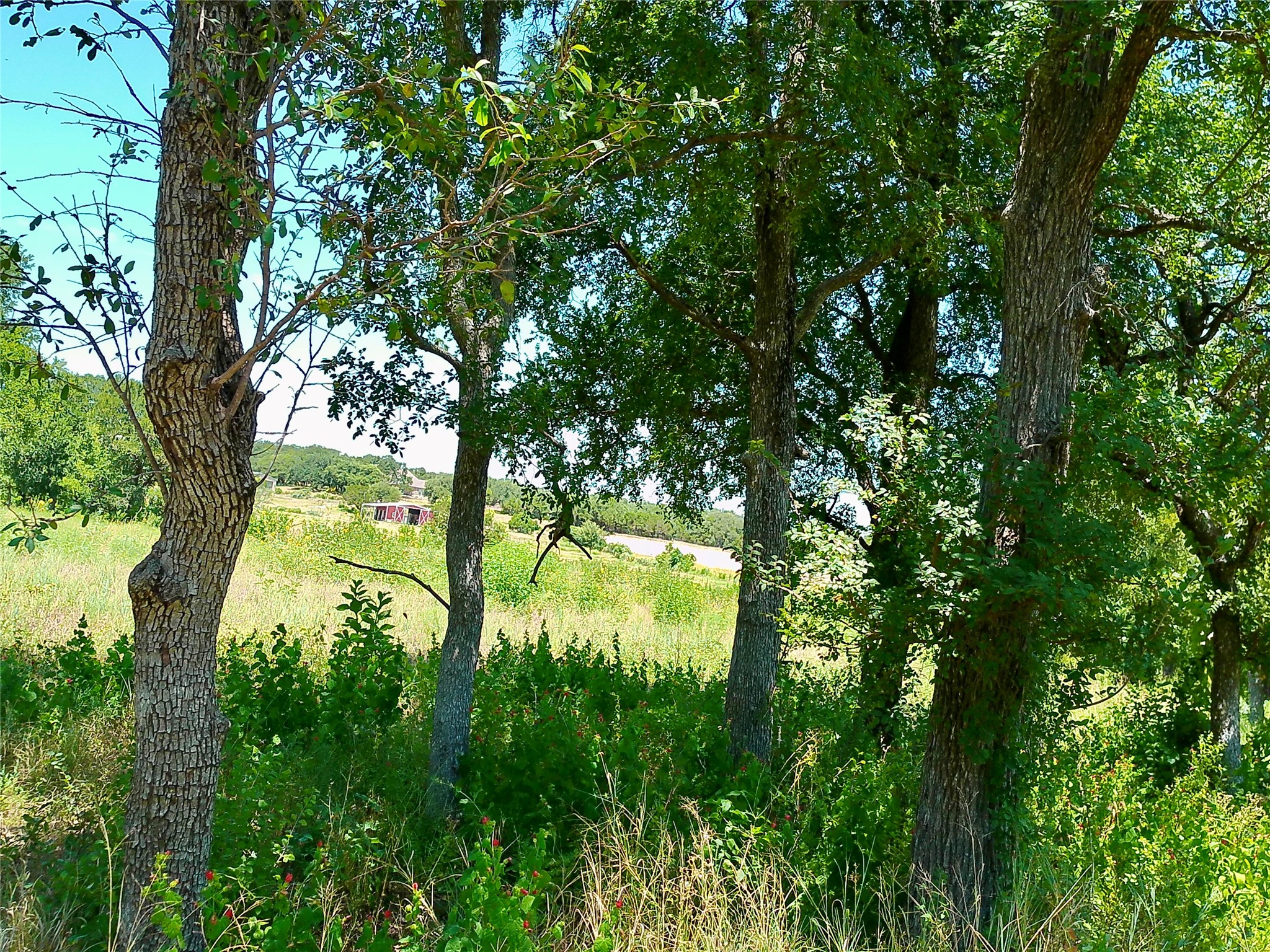 main property photo 11