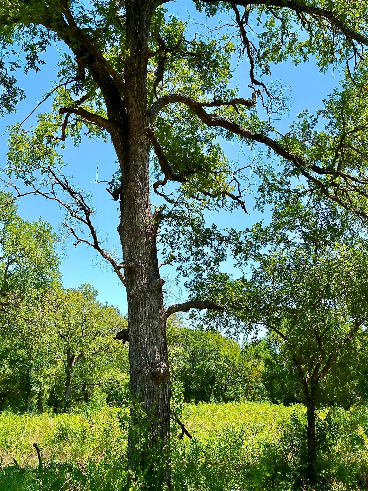 main property photo 16