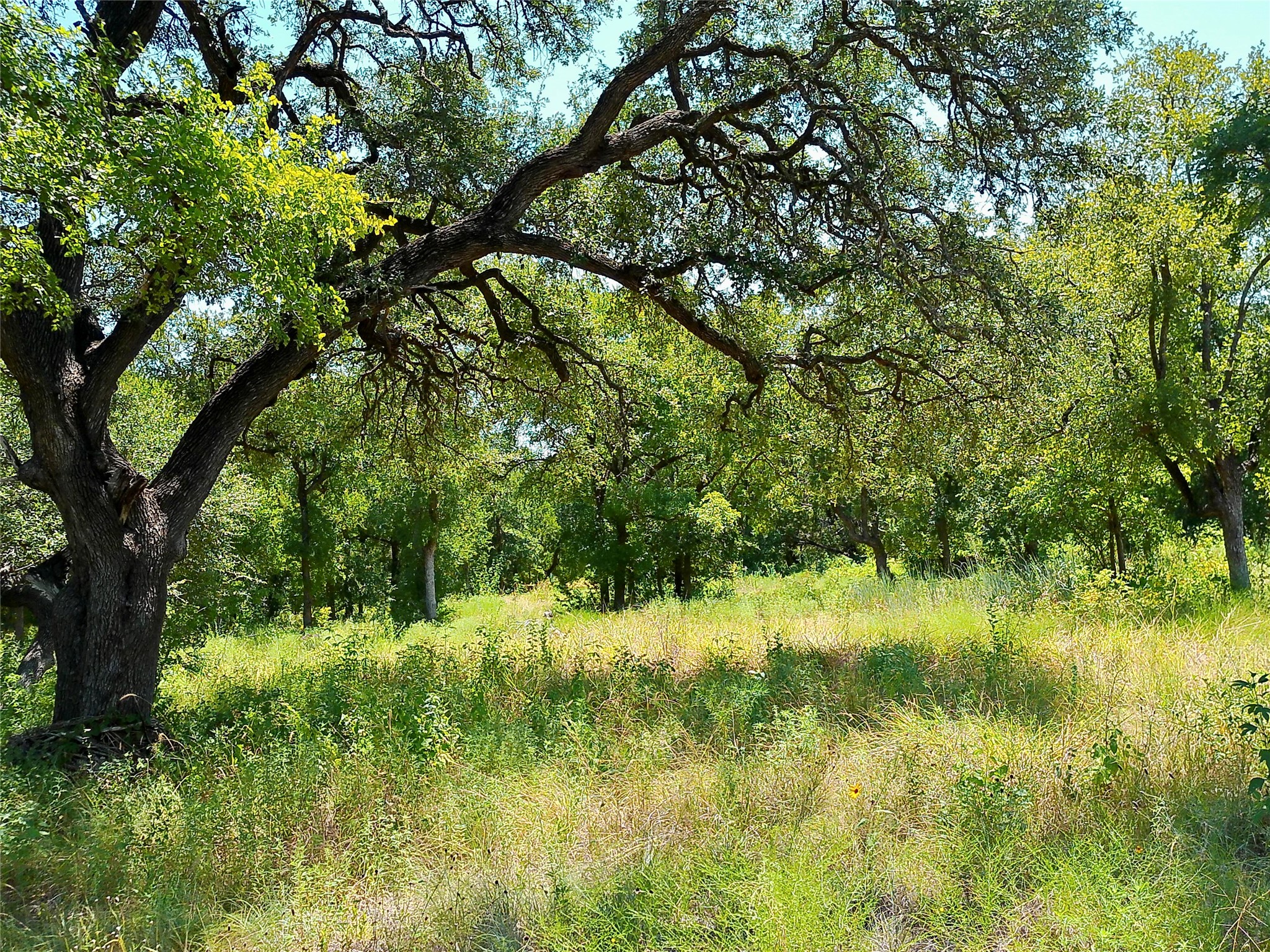 main property photo 17