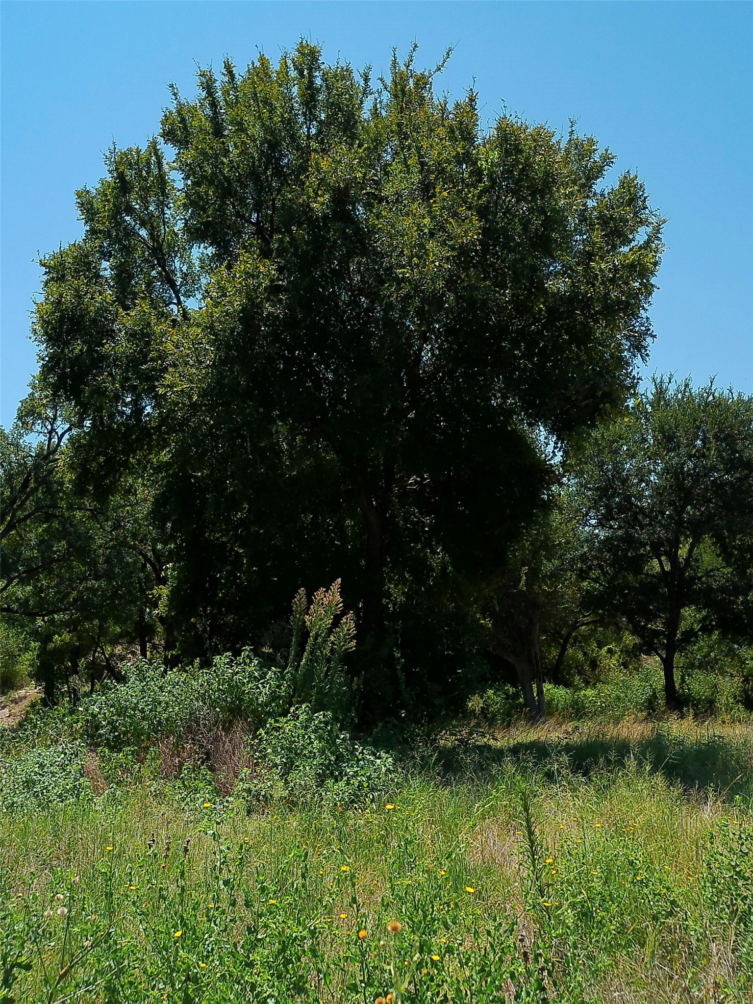 main property photo 22