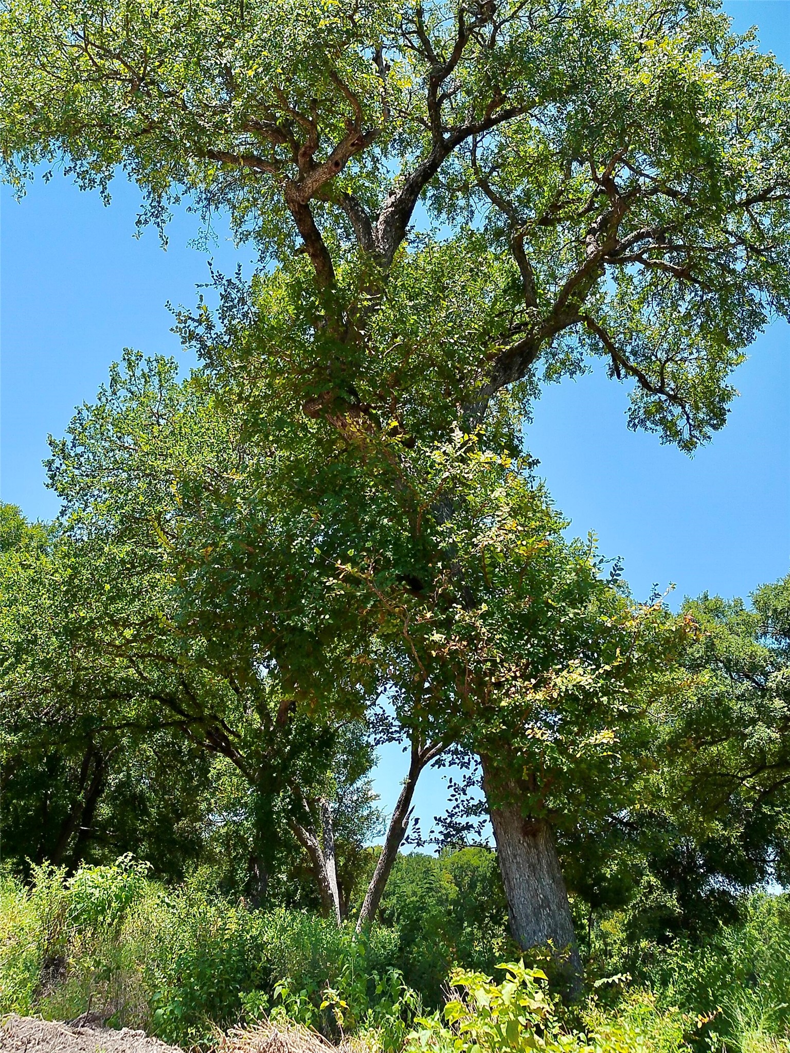 main property photo 24