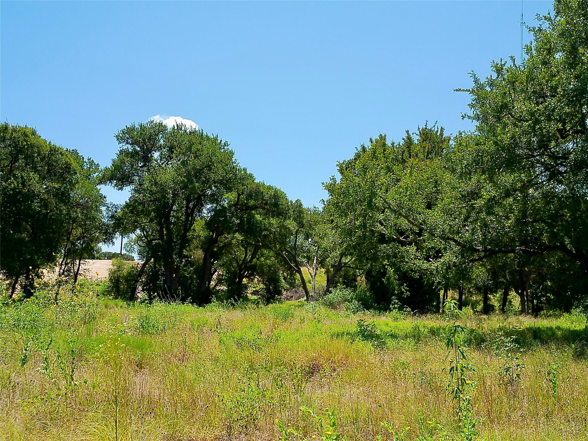 main property photo 25