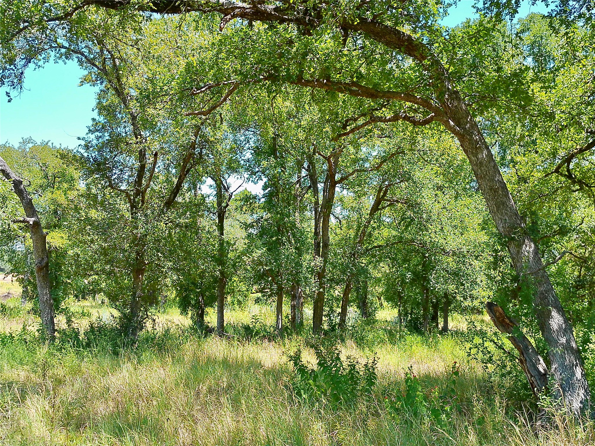 main property photo 26