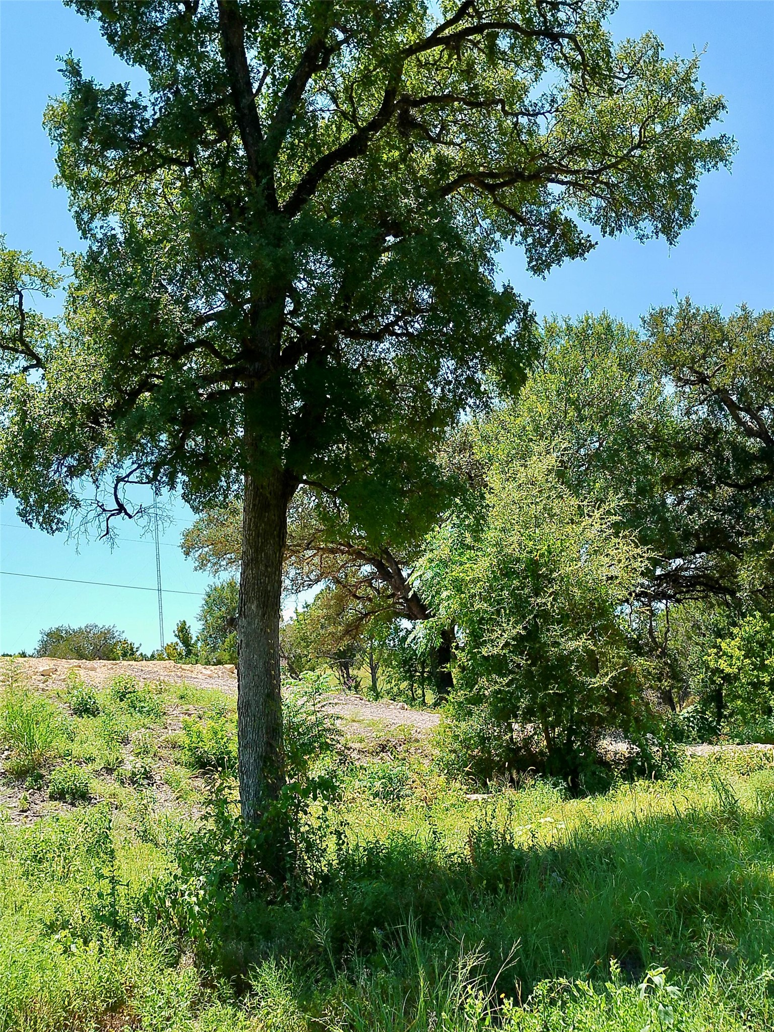 main property photo 28