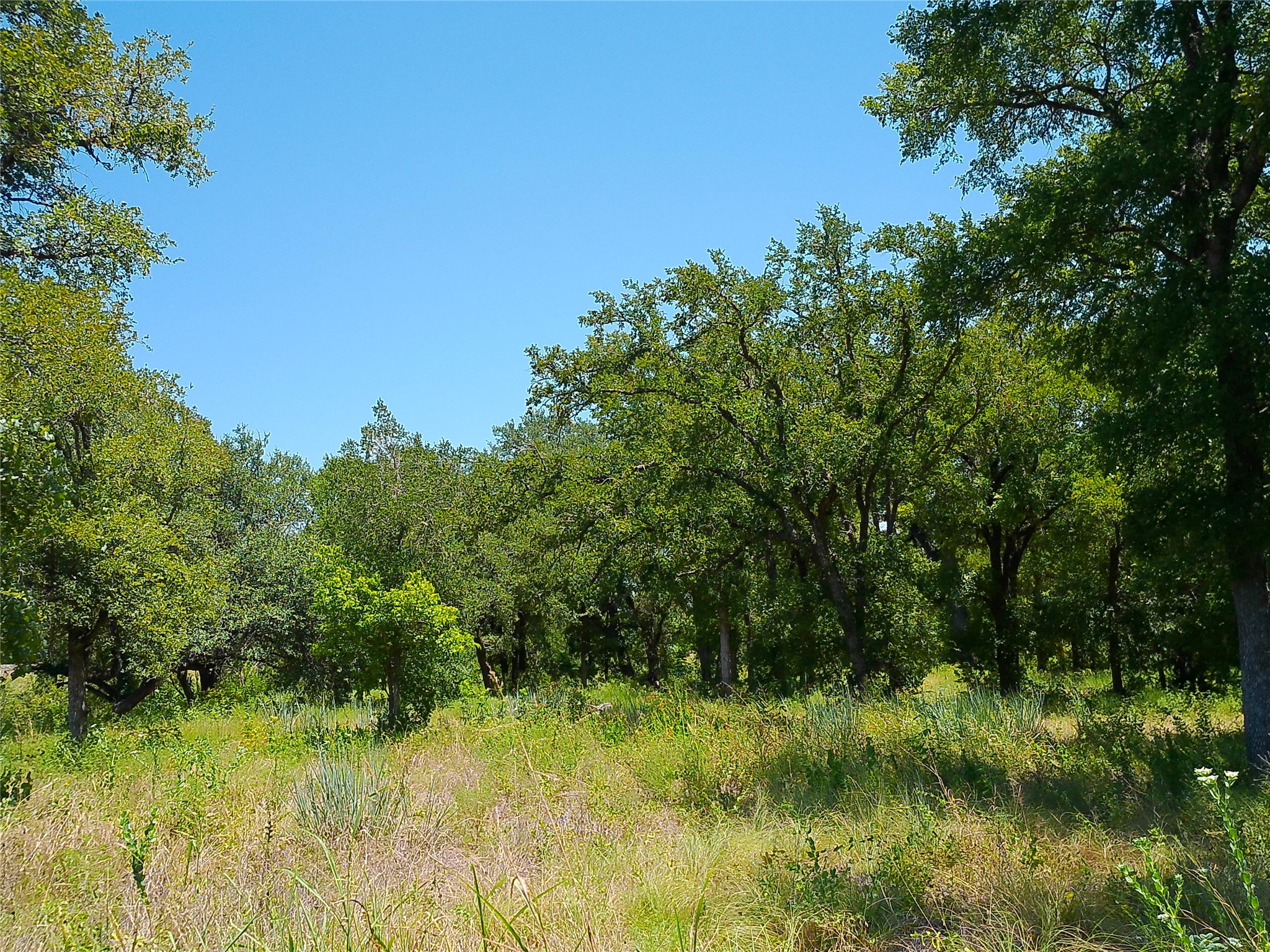 main property photo 7