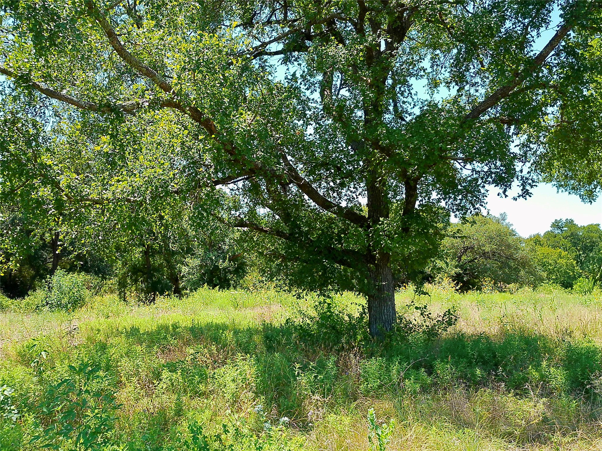 main property photo 8