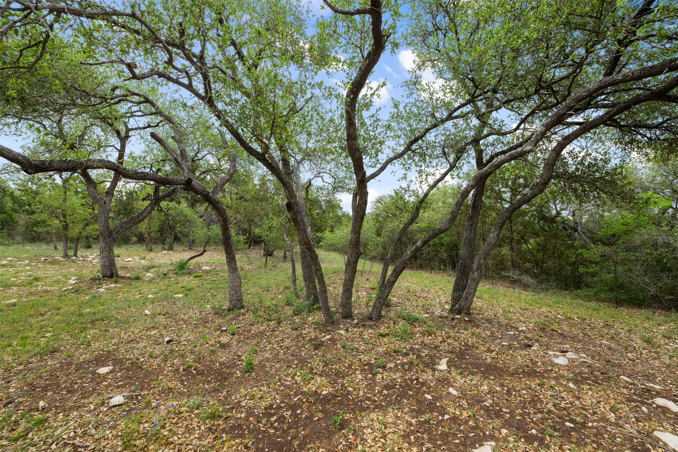 main property photo 19