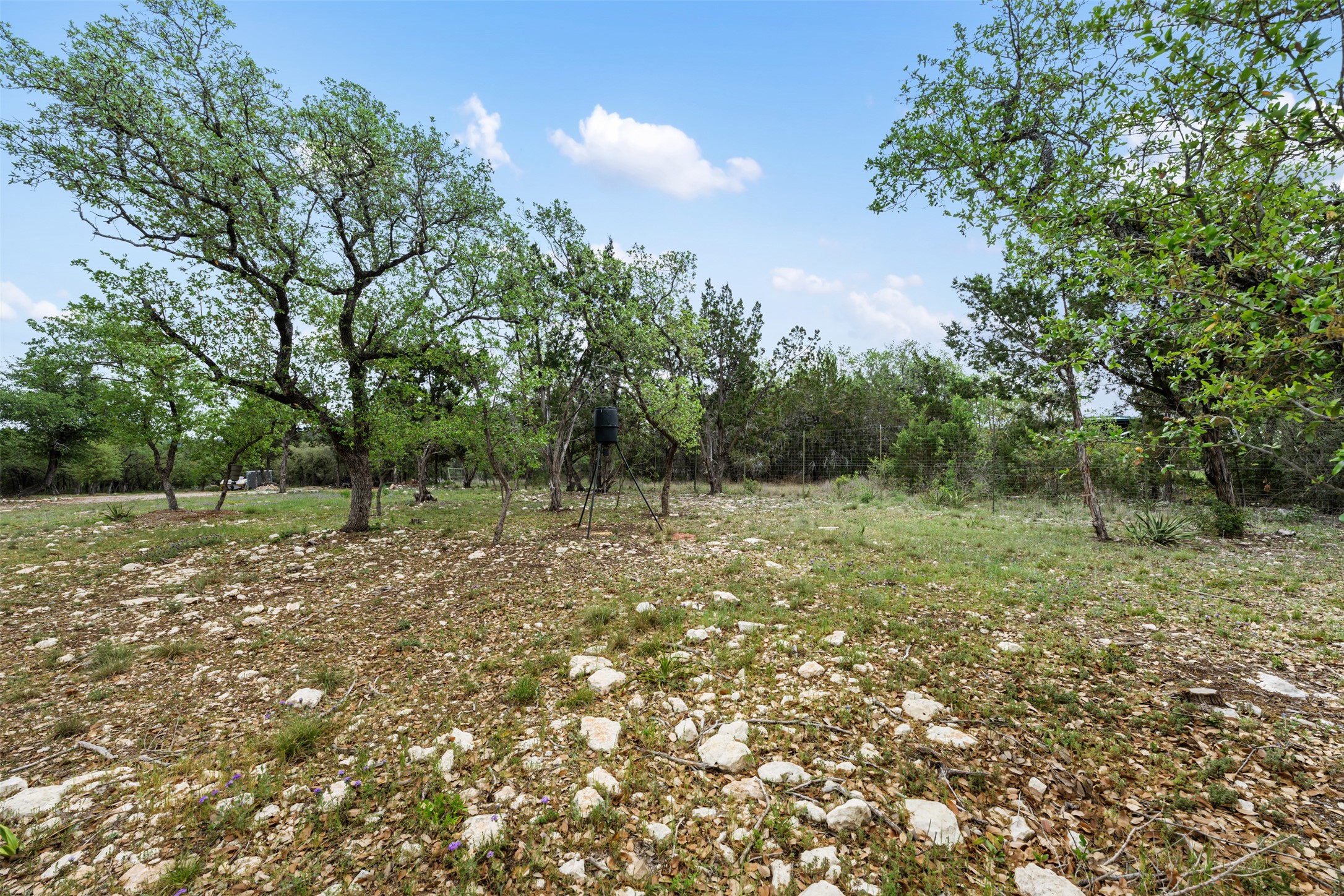 main property photo 29
