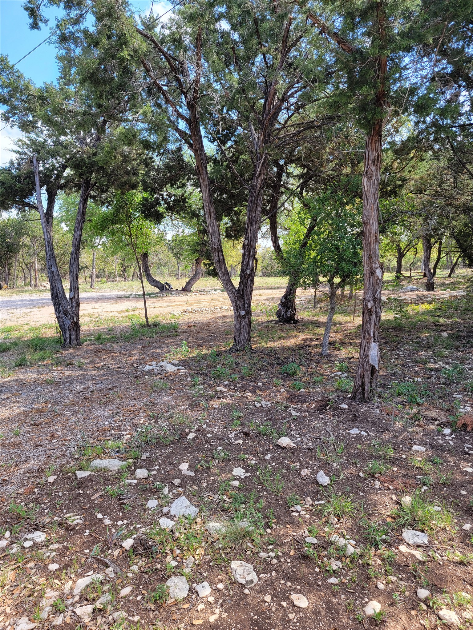 main property photo 9