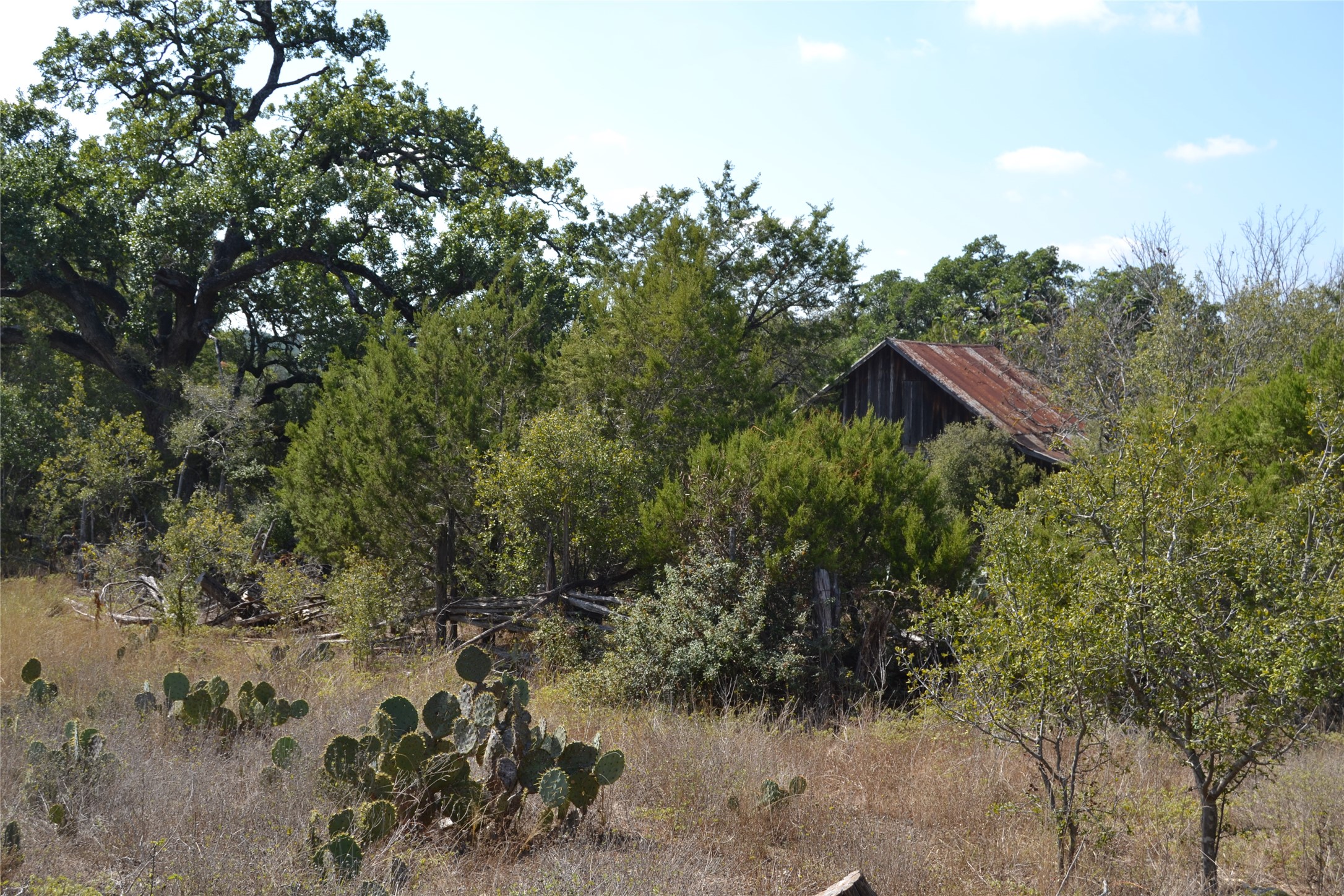 main property photo 35
